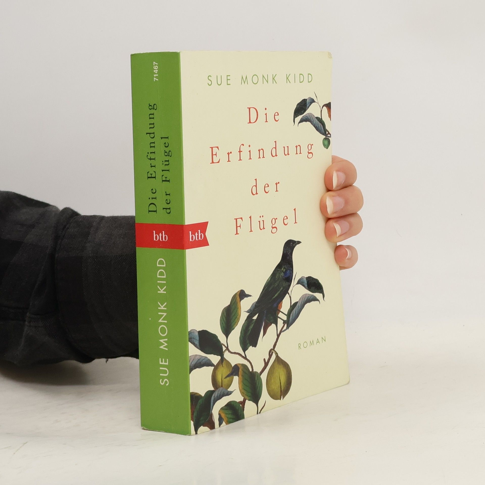 Sue Monk Kidd Die Erfindung der Flügel