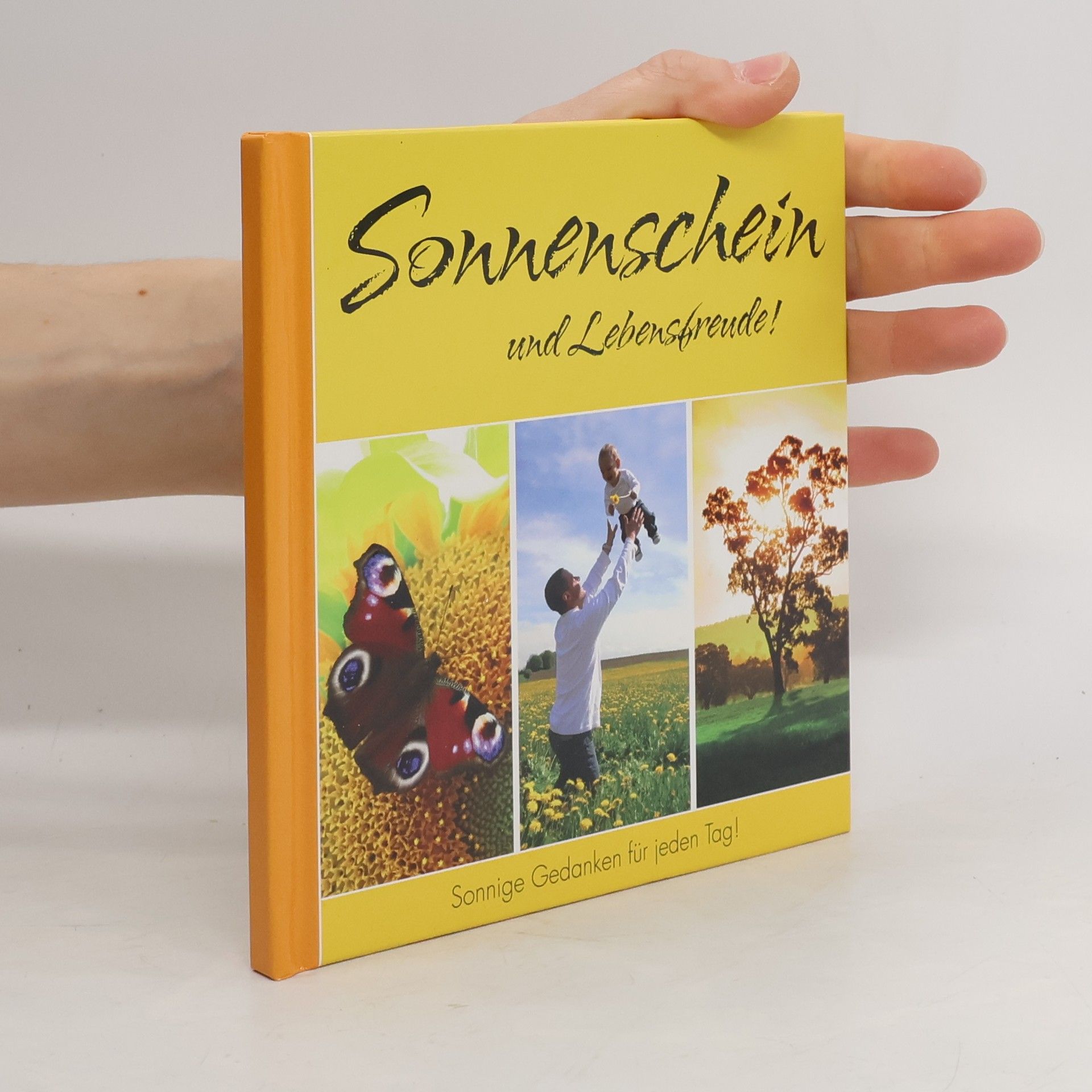 AA.VV. Sonnenschein und Lebensfreude!