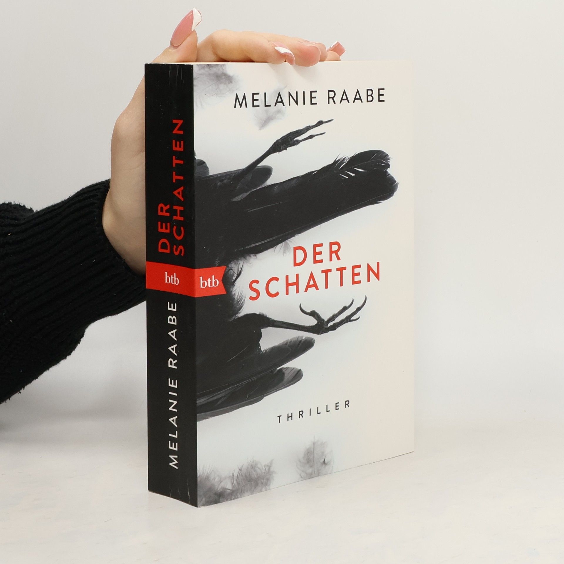 Melanie Raabe Der Schatten