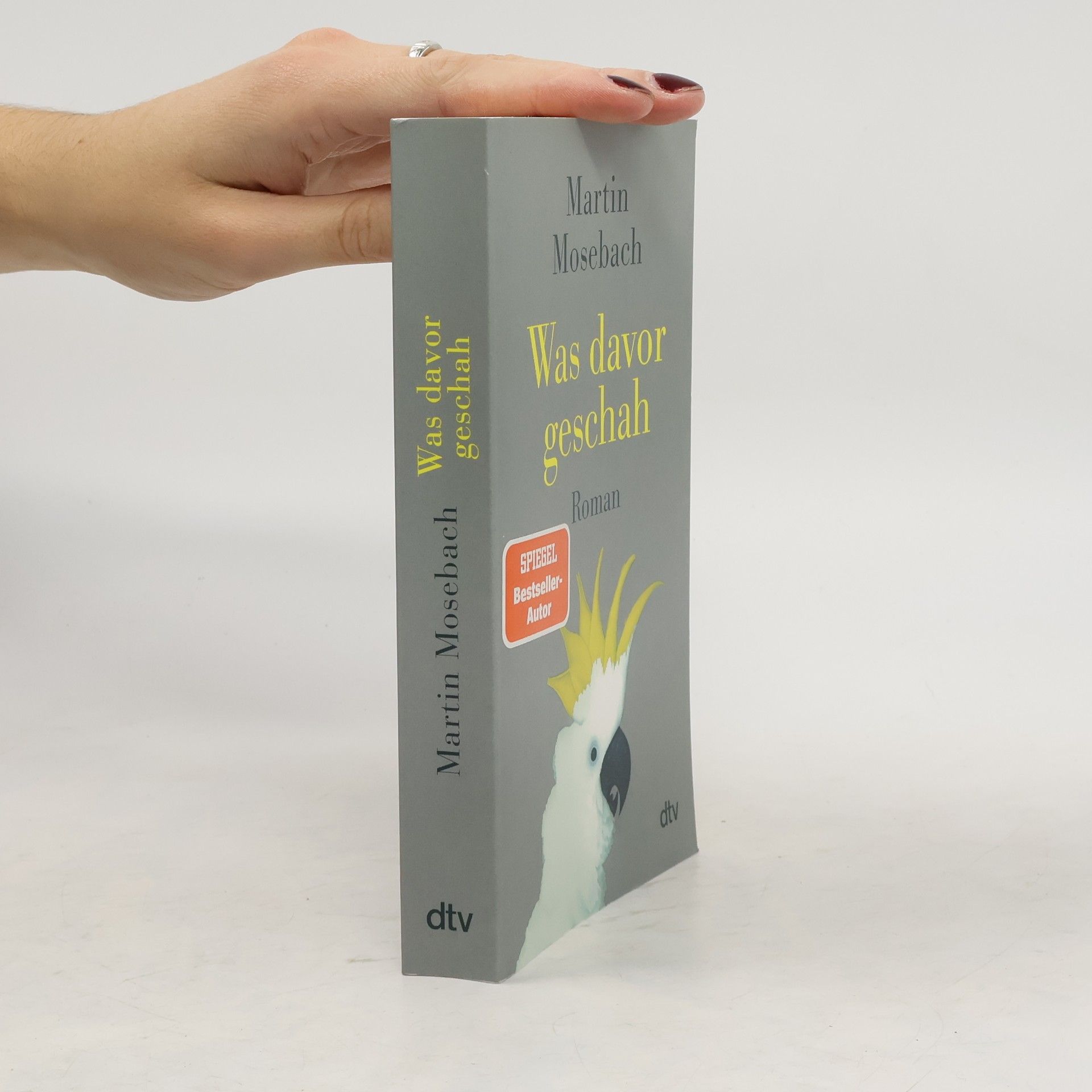 Martin Mosebach Was davor geschah