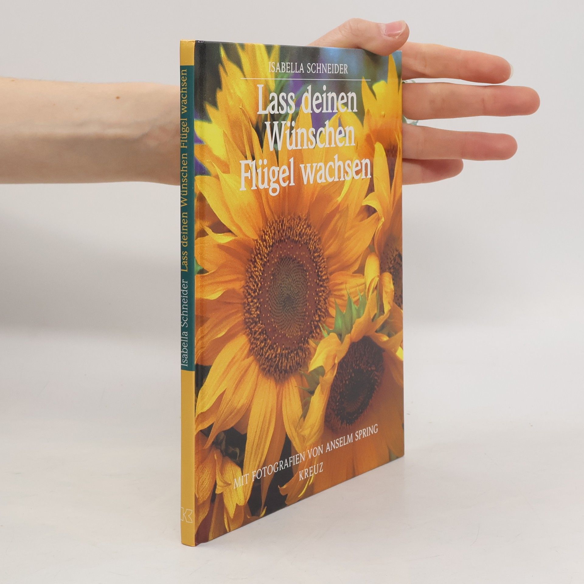 Isabella Schneider Lass deinen Wünschen Flügel wachsen