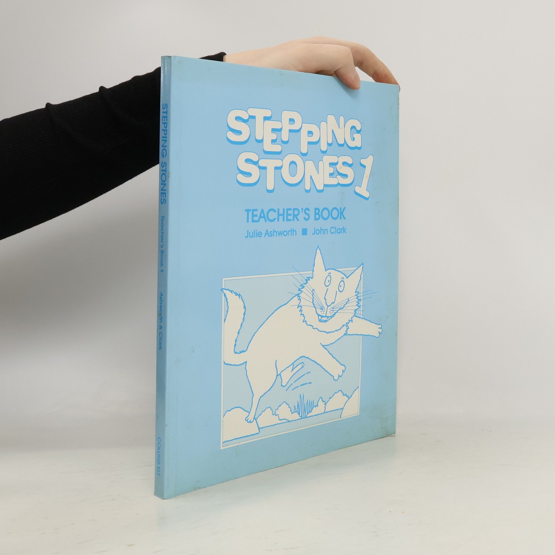 Julie Ashworth Stepping Stones