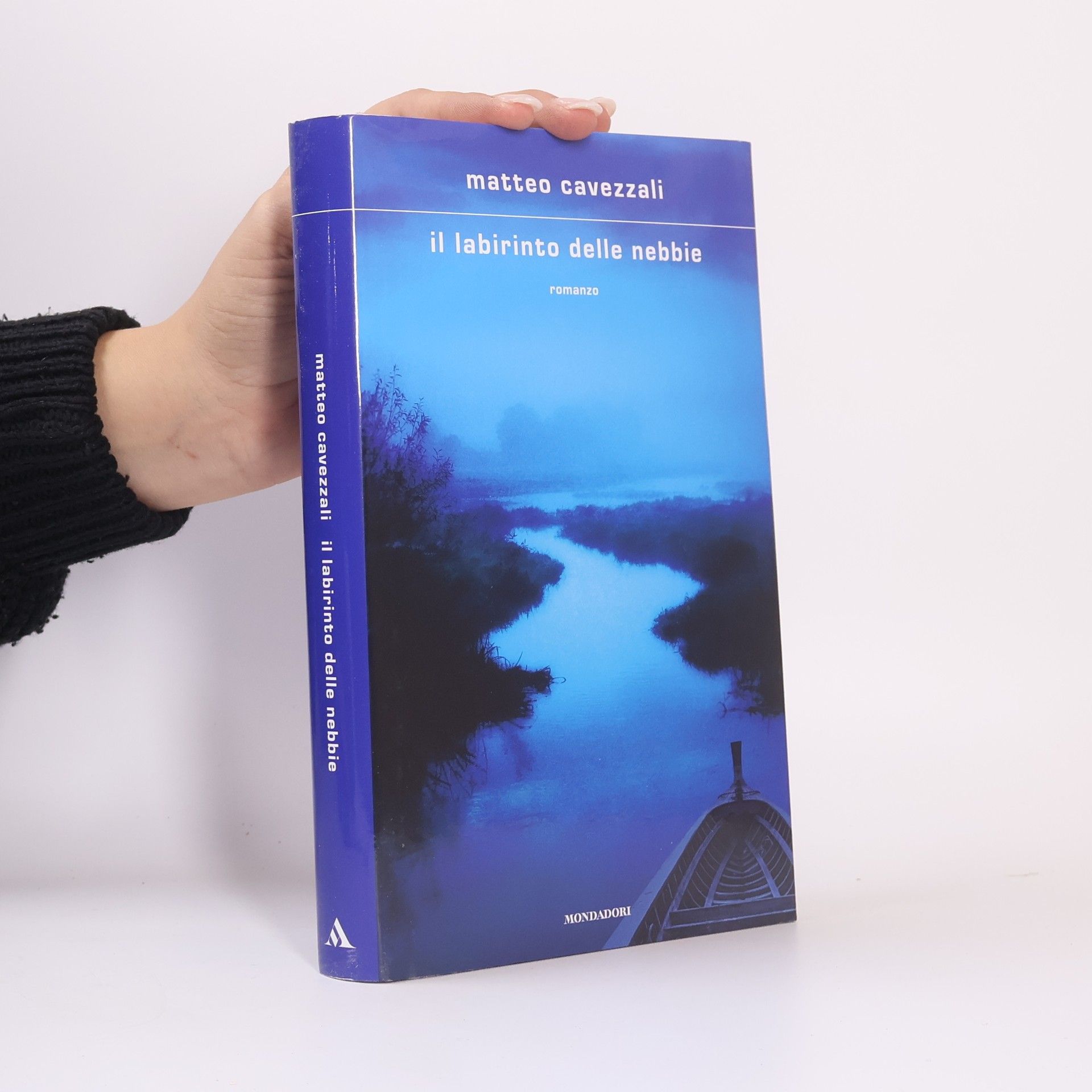 Matteo Cavezzali Il labirinto delle nebbie