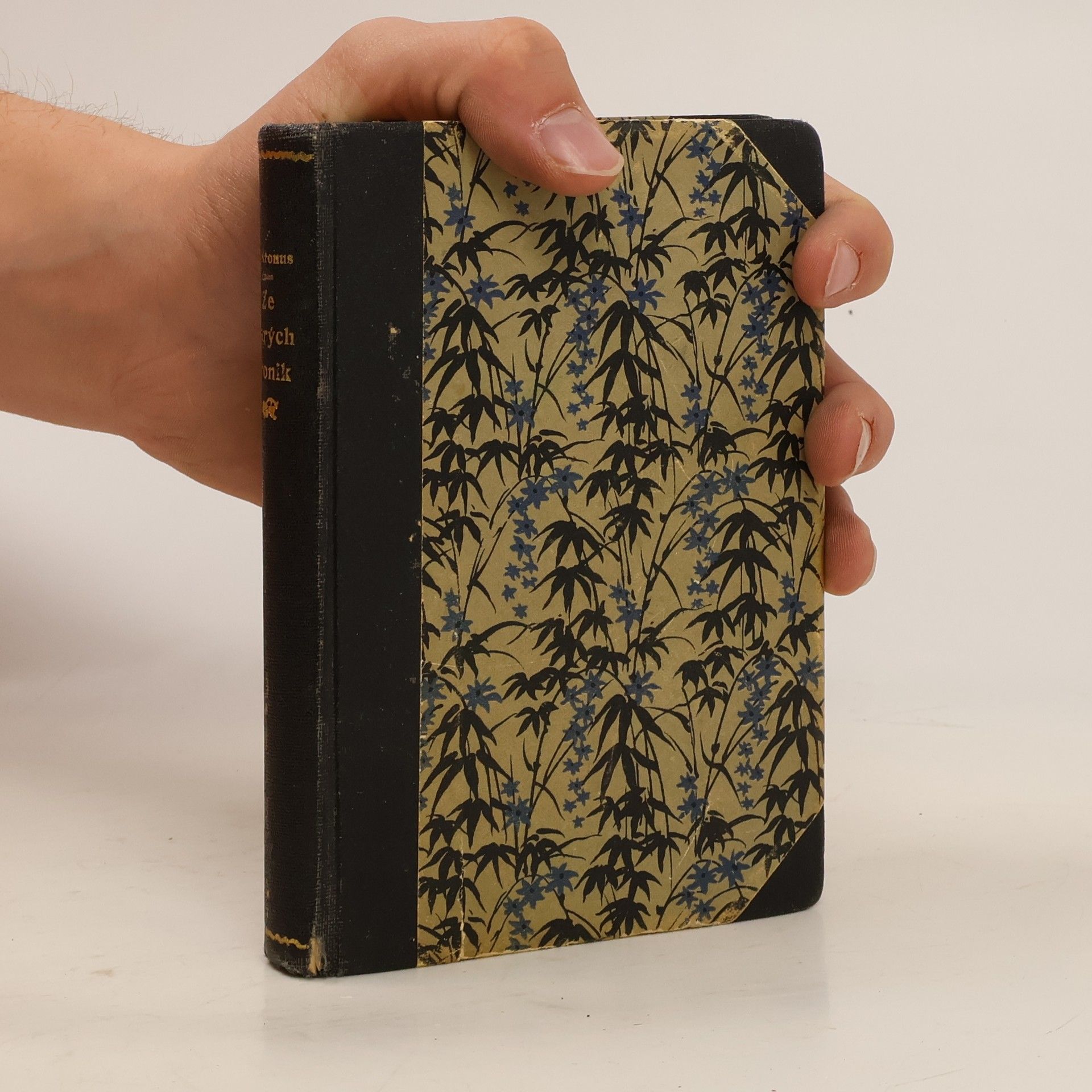 Ze starých kronik. Obrázky