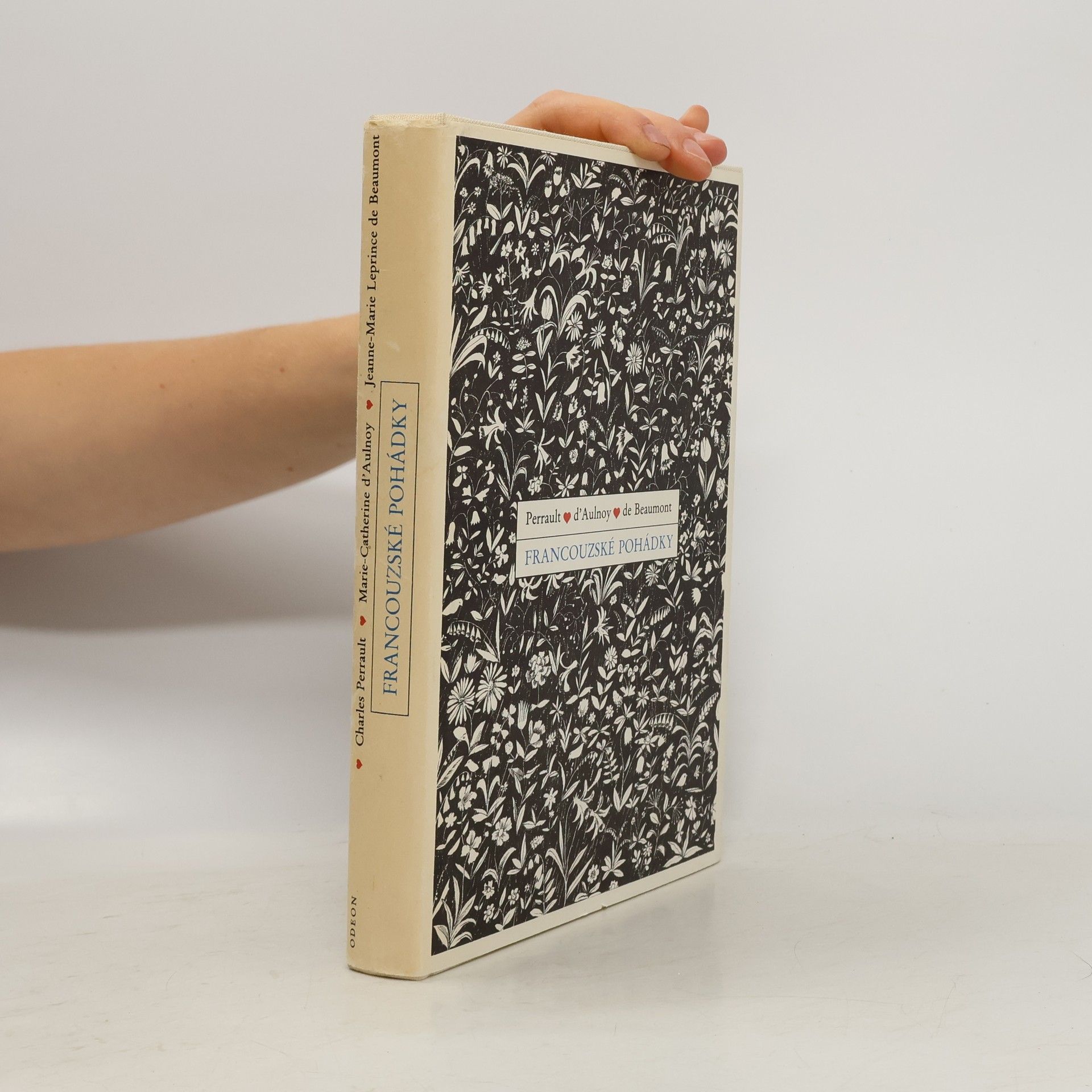 Kolektív autorov Francouzské pohádky