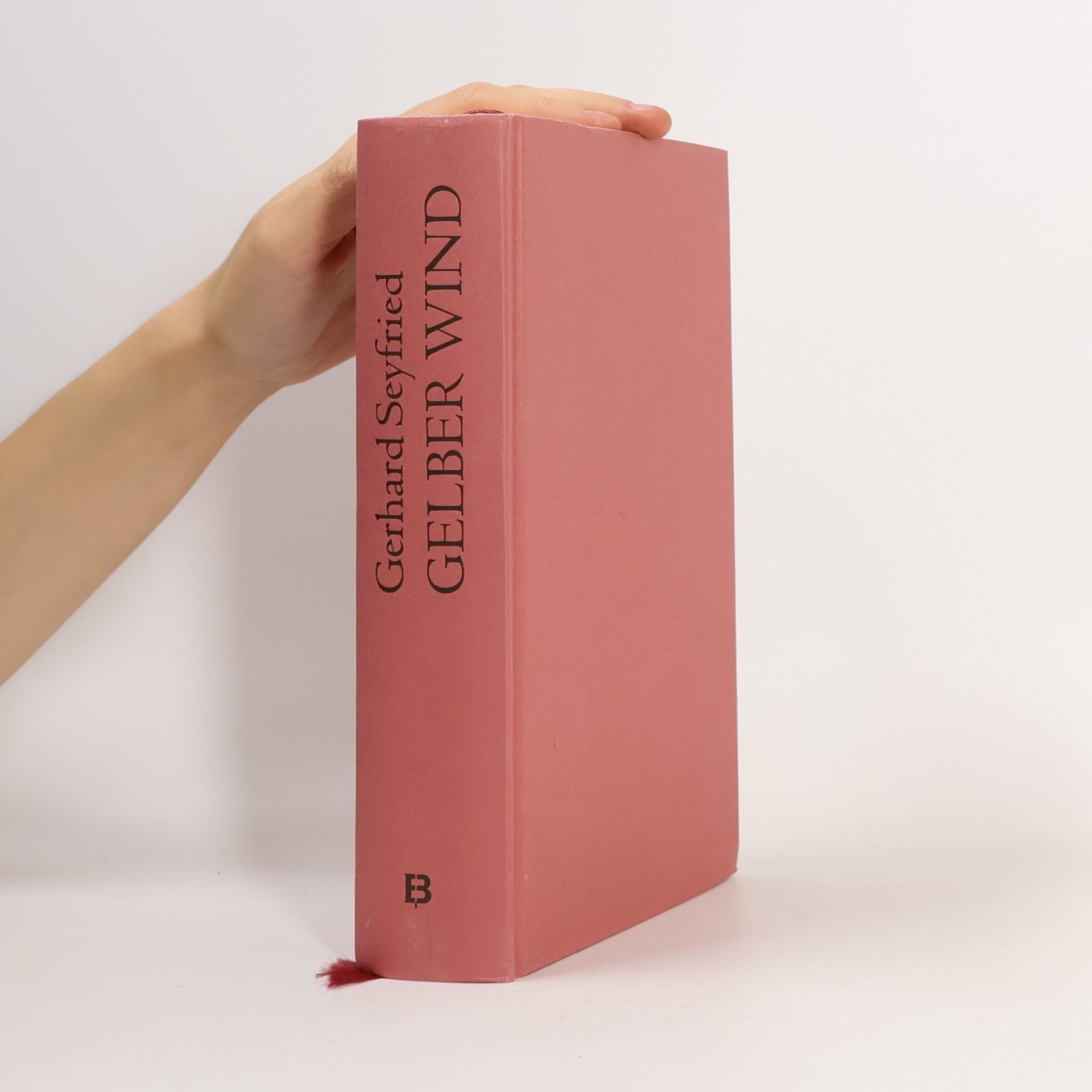 Gerhard Seyfried Gelber Wind oder der Aufstand der Boxer