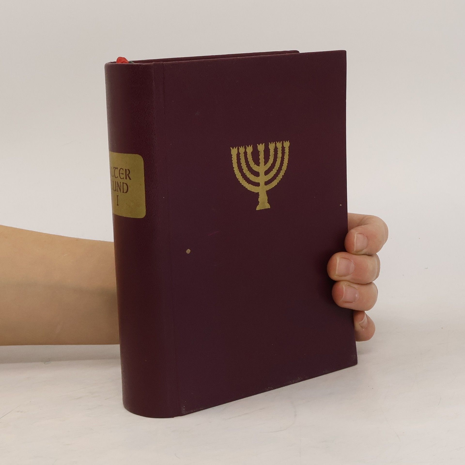 Die heilige Schrift des Alten Bundes I. Band