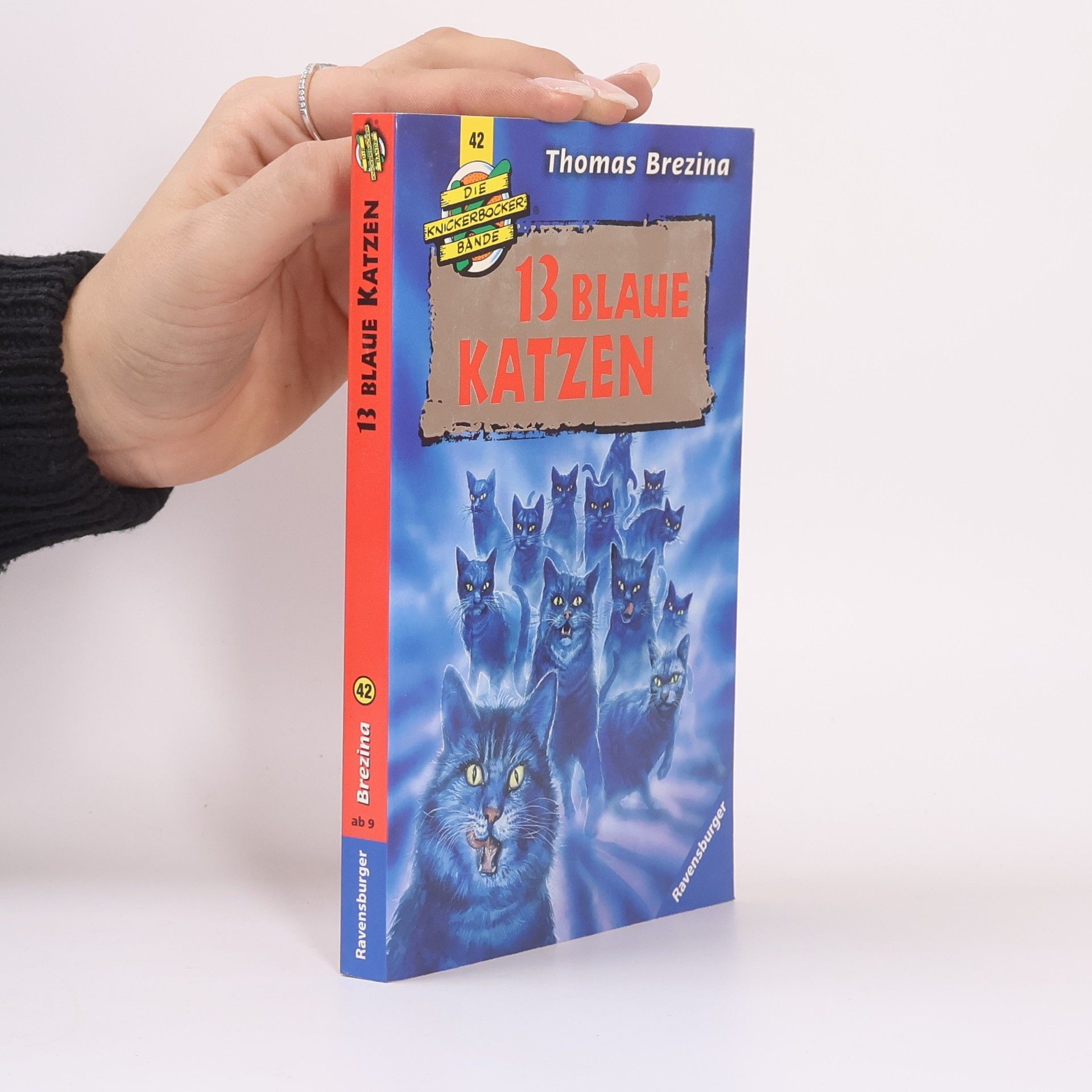 Thomas Brezina Die Knickerbocker Bande - 42: 13 blaue Katzen