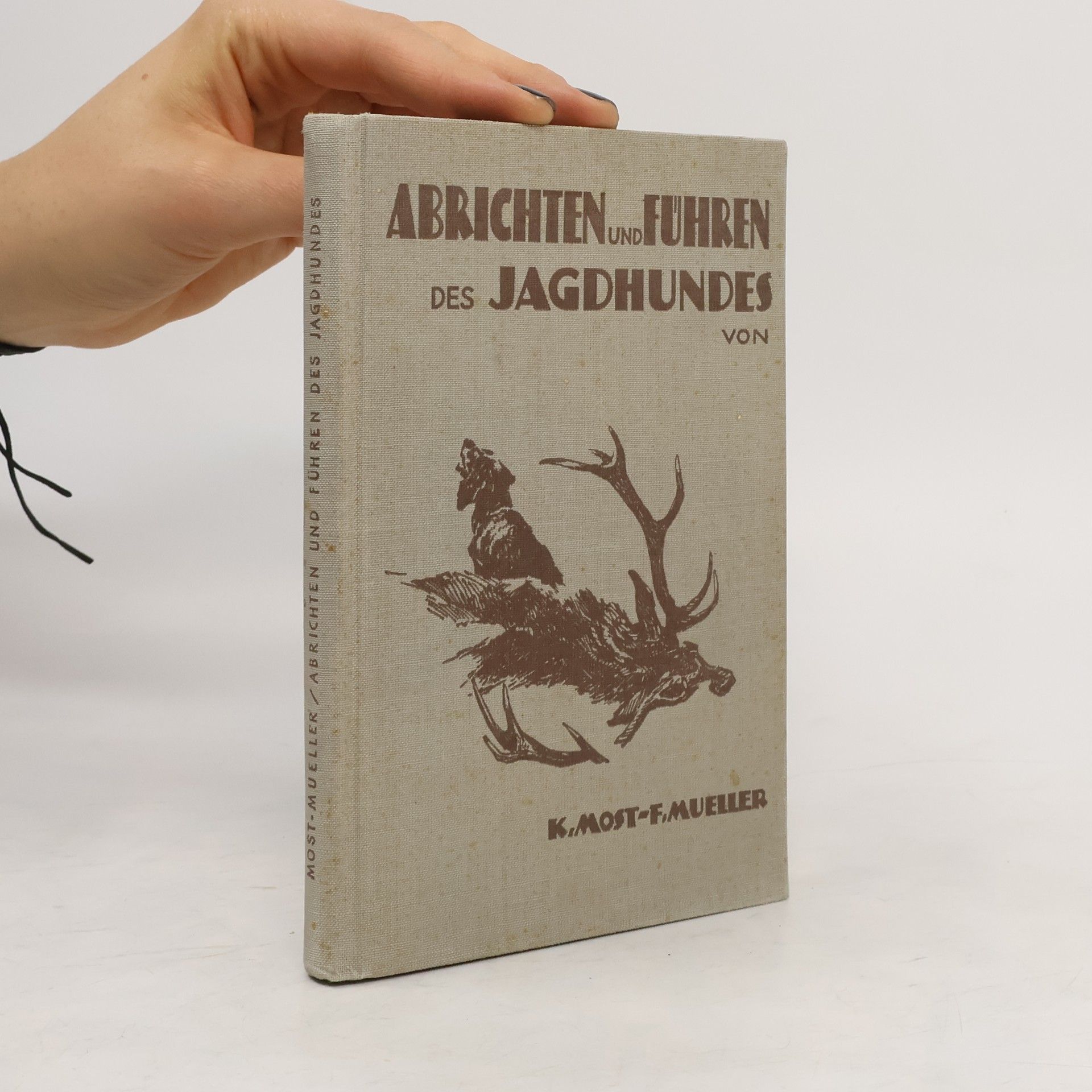 Abrichten und Führen des Jagdhundes 