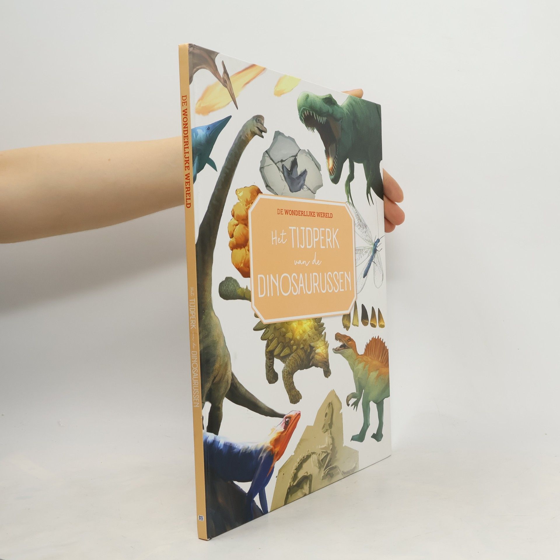 Auteurscollectief Het Tijdperk Van De Dinosaurussen