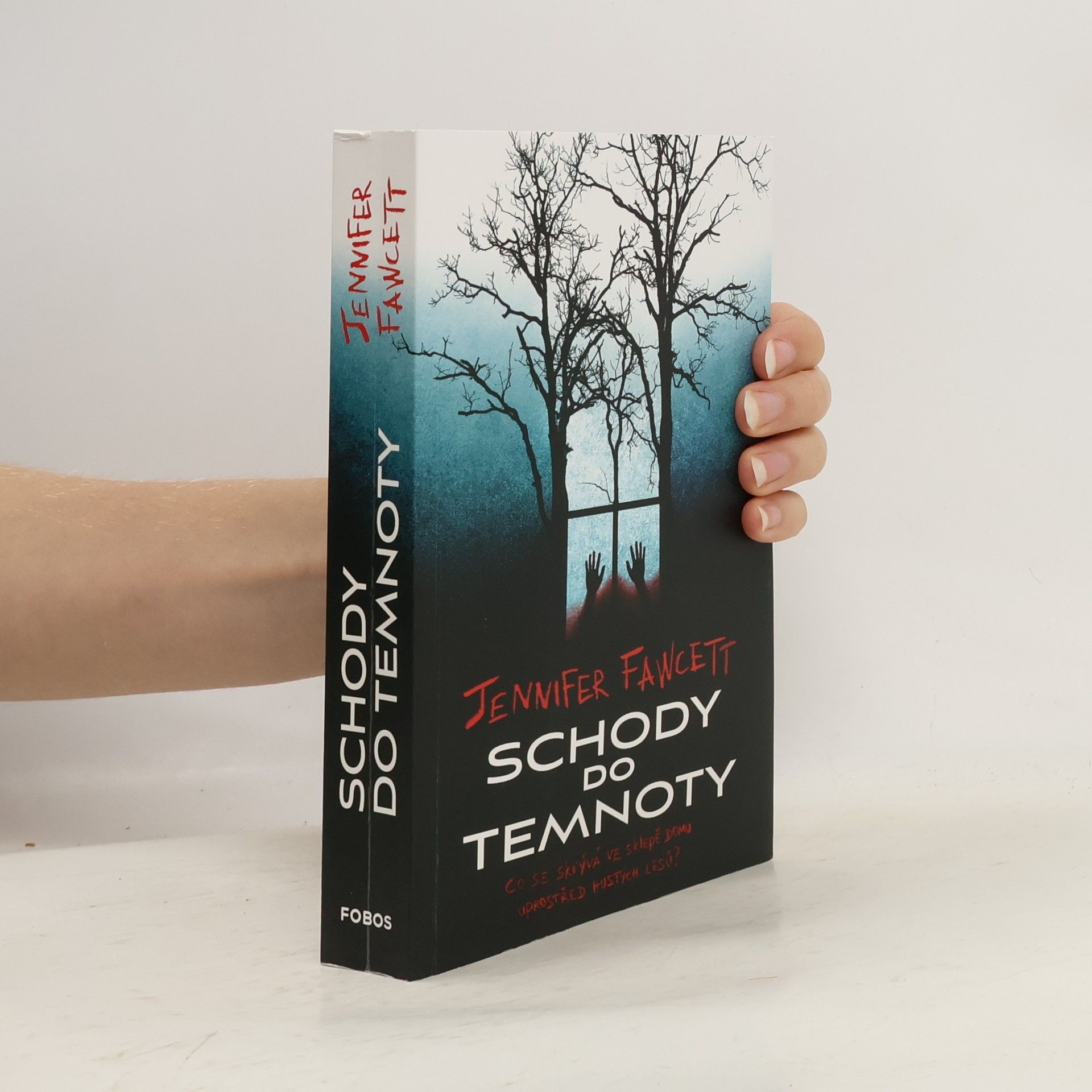 Jennifer Fawcett Schody do temnoty