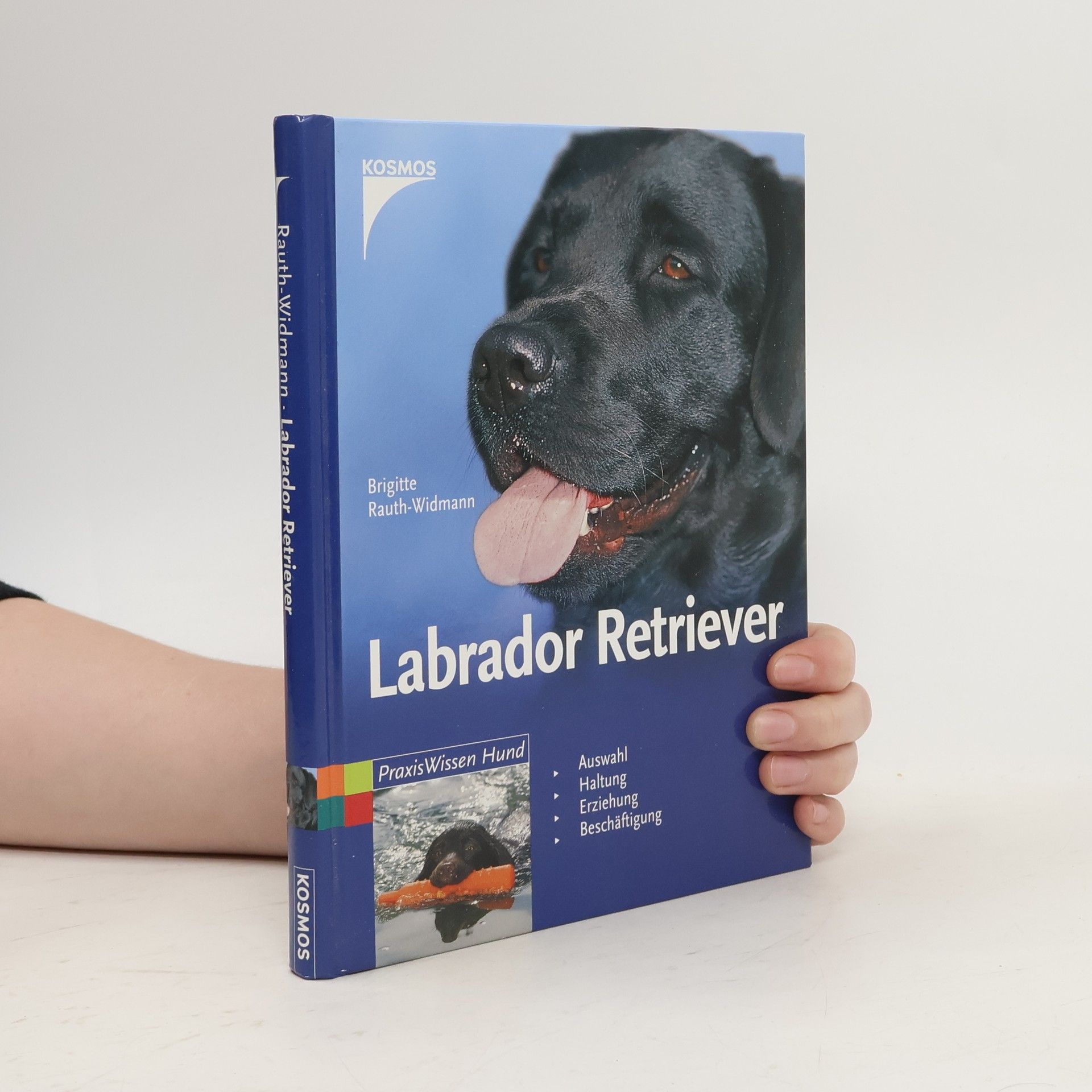 Labrador