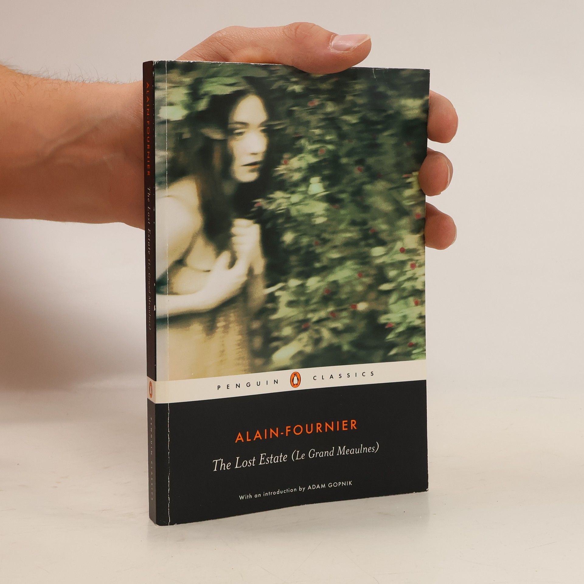 Alain-Fournier The Lost Estate (Le Grand Meaulnes)