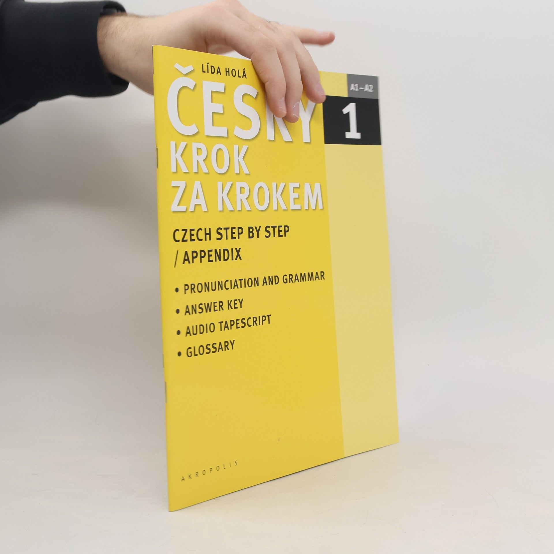 Lída Holá Česky krok za krokem 1. A1-A2 příloha