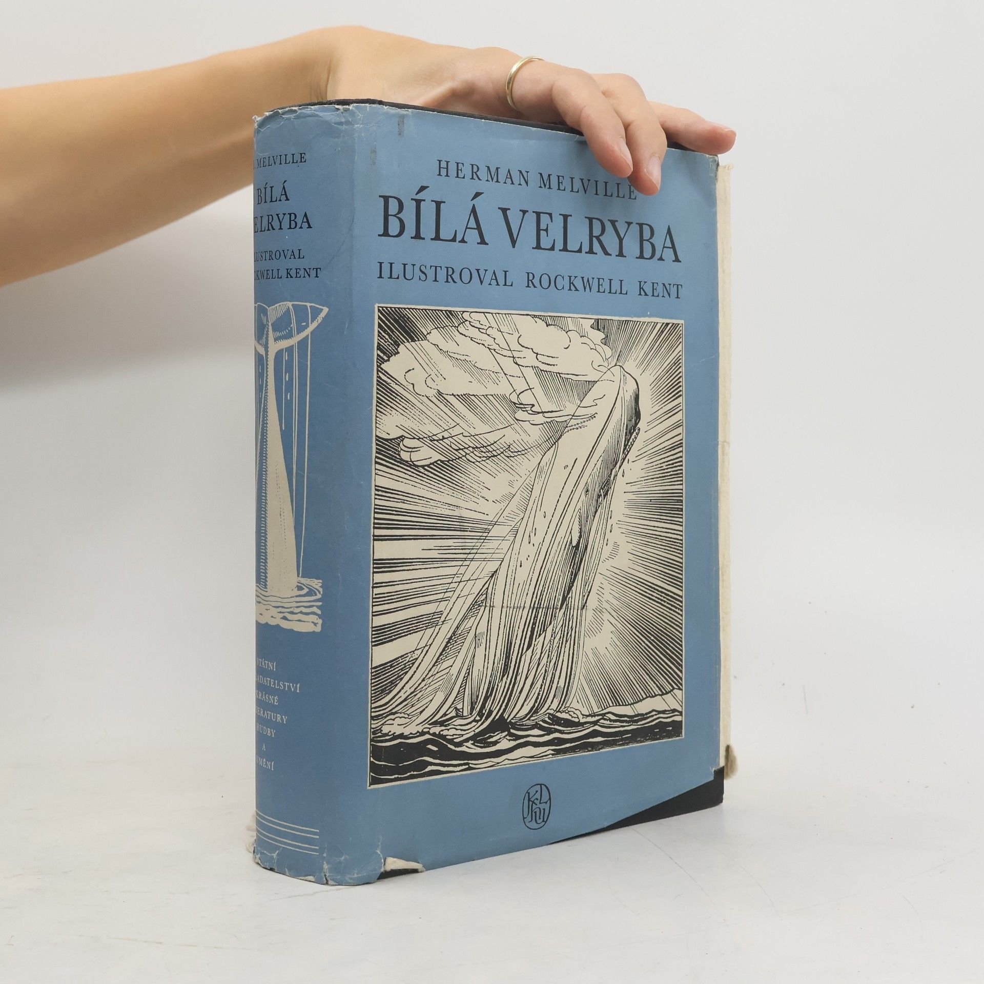 Herman Melville Bílá velryba