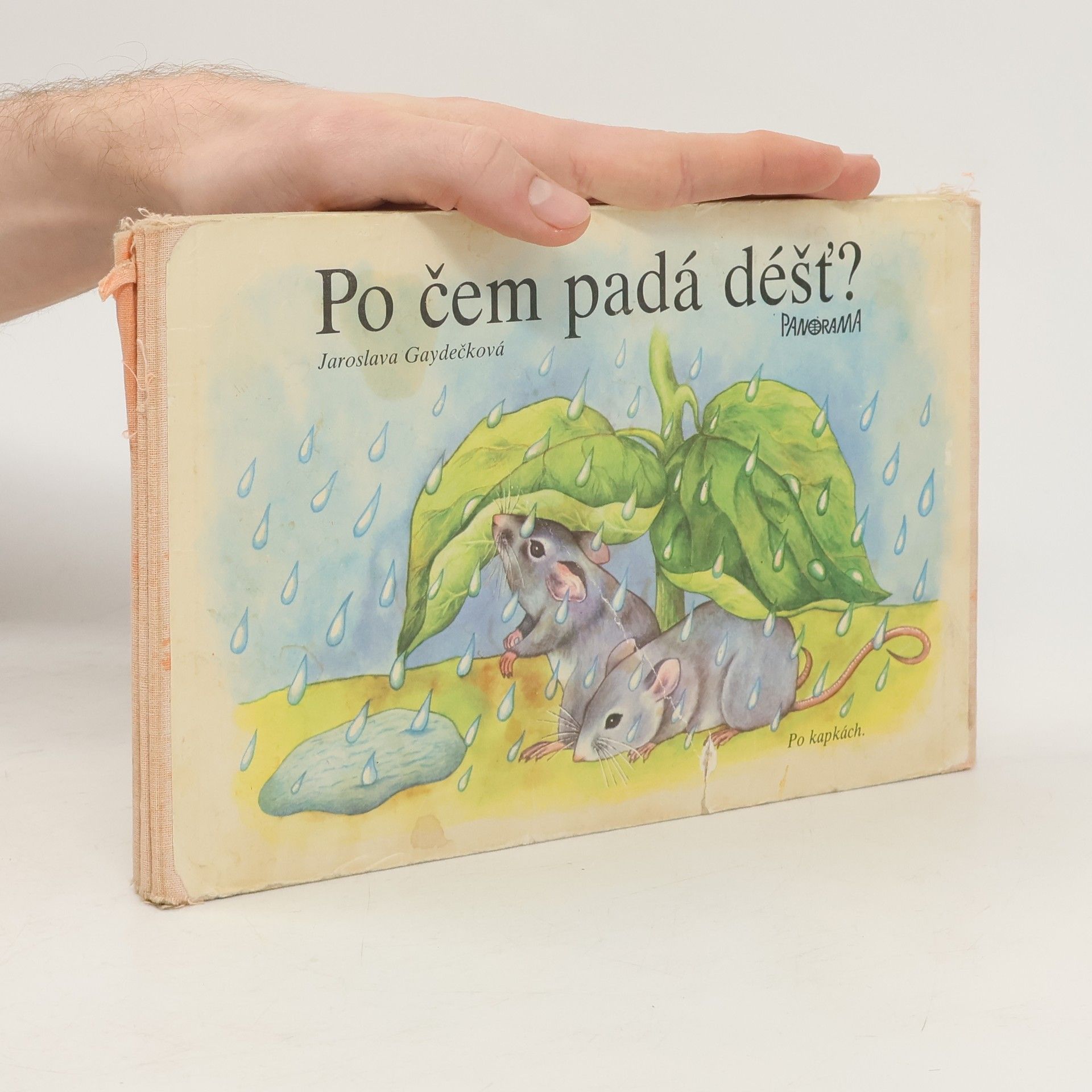 Jaroslava Gaydečková Po čem padá déšť?