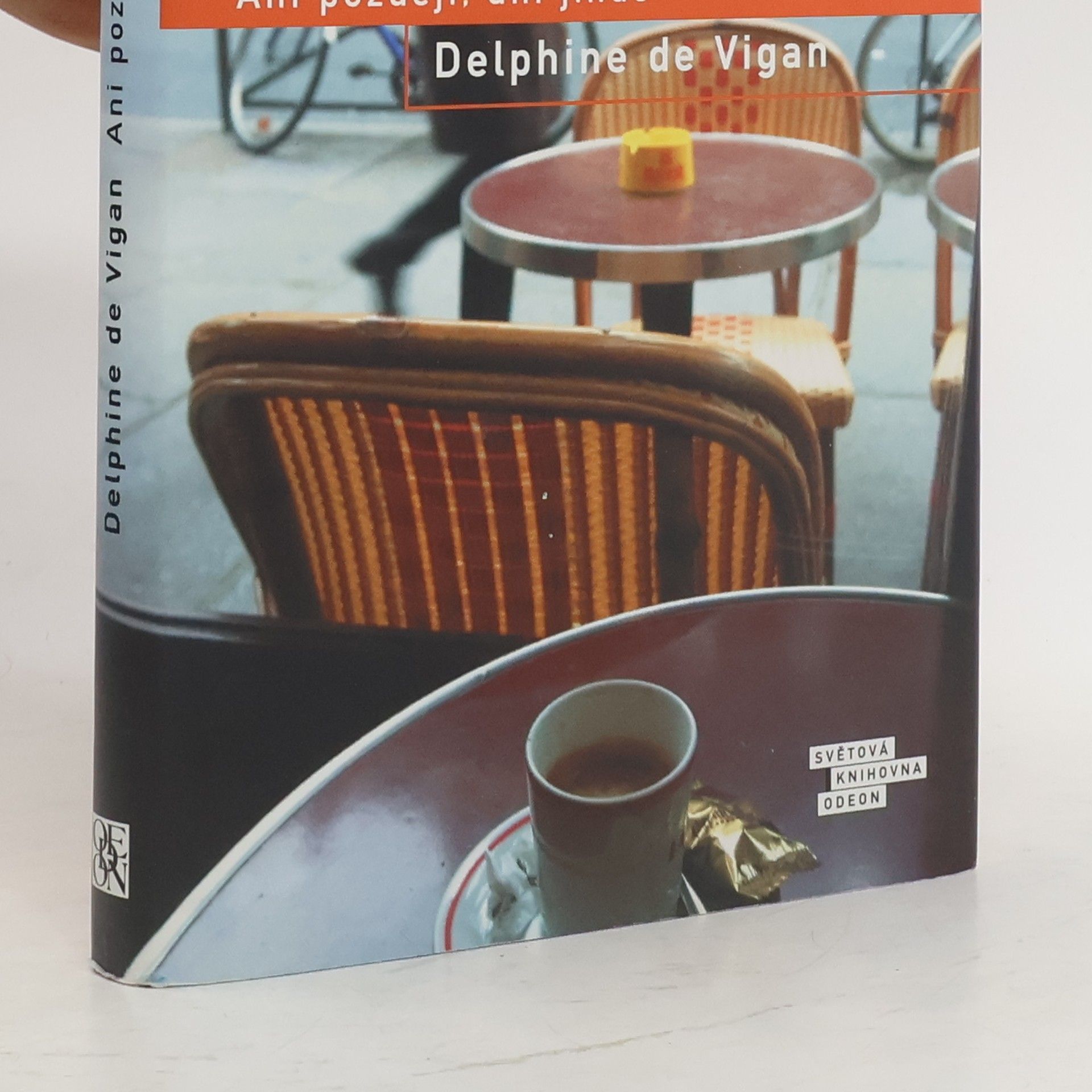 Delphine de Vigan Ani později, ani jinde