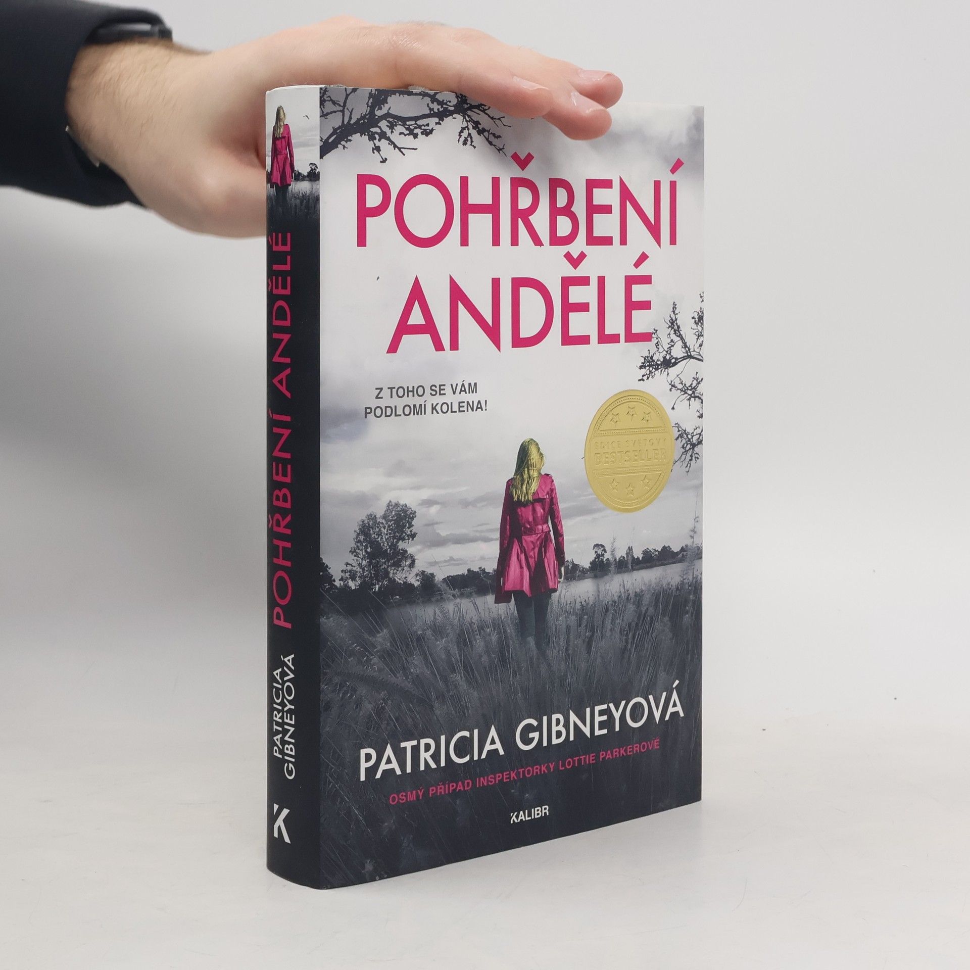 Drahomíra Michnová Pohřbení andělé