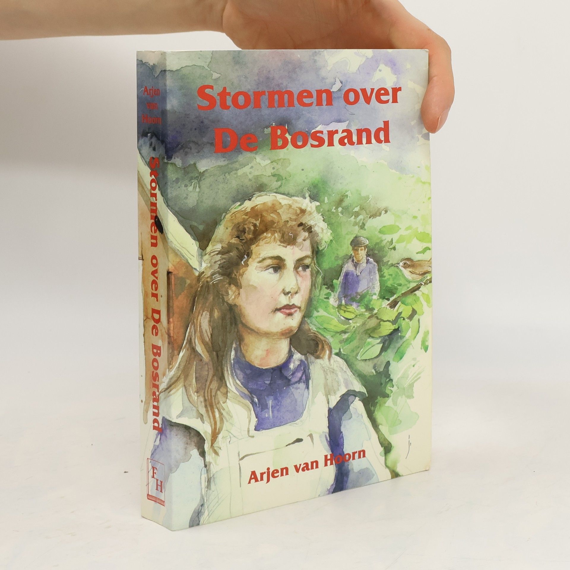 Arjen van Hoorn Stormen over De Bosrand