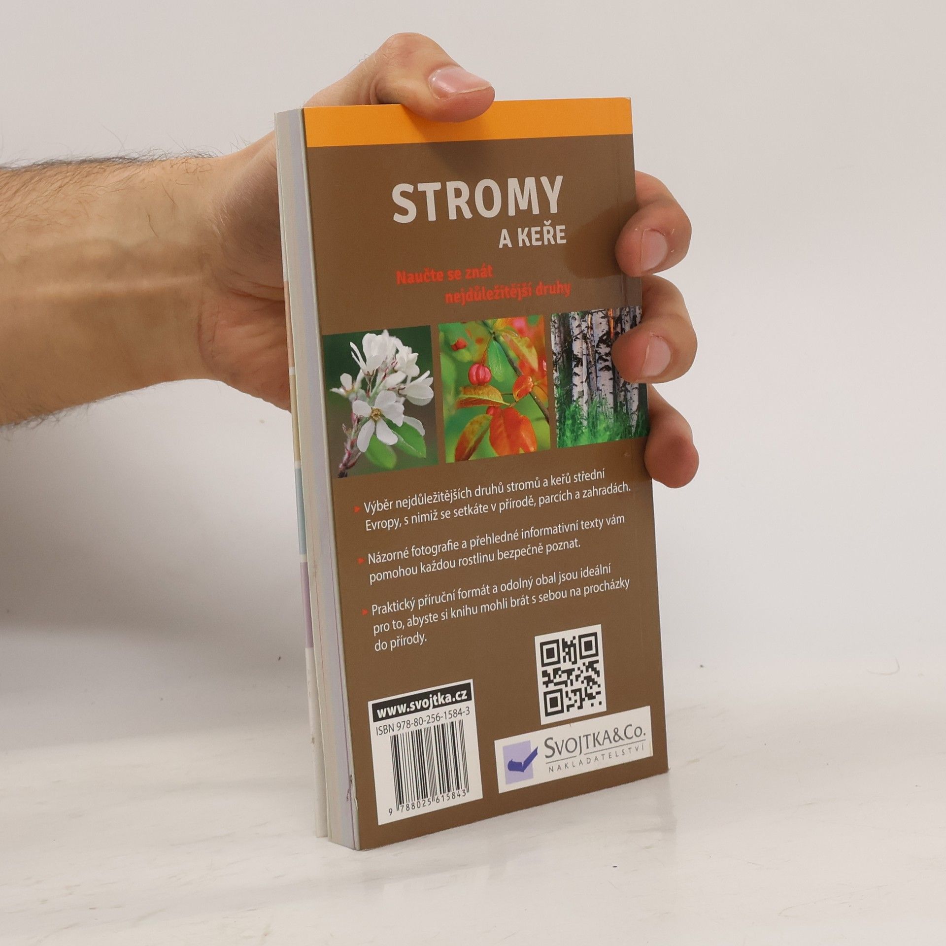 Helga Hofmann Stromy a keře