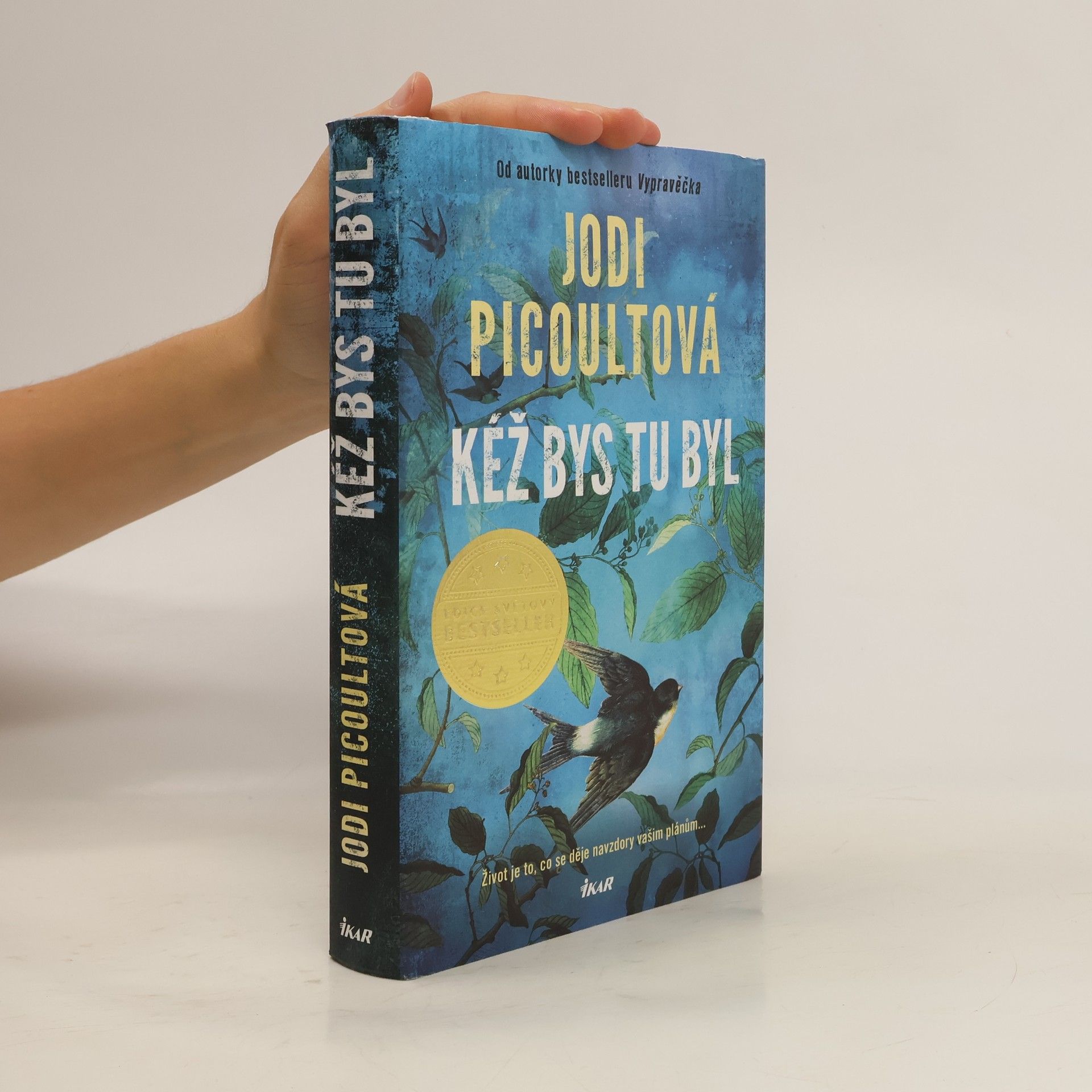 Marcela Nejedlá Kéž bys tu byl