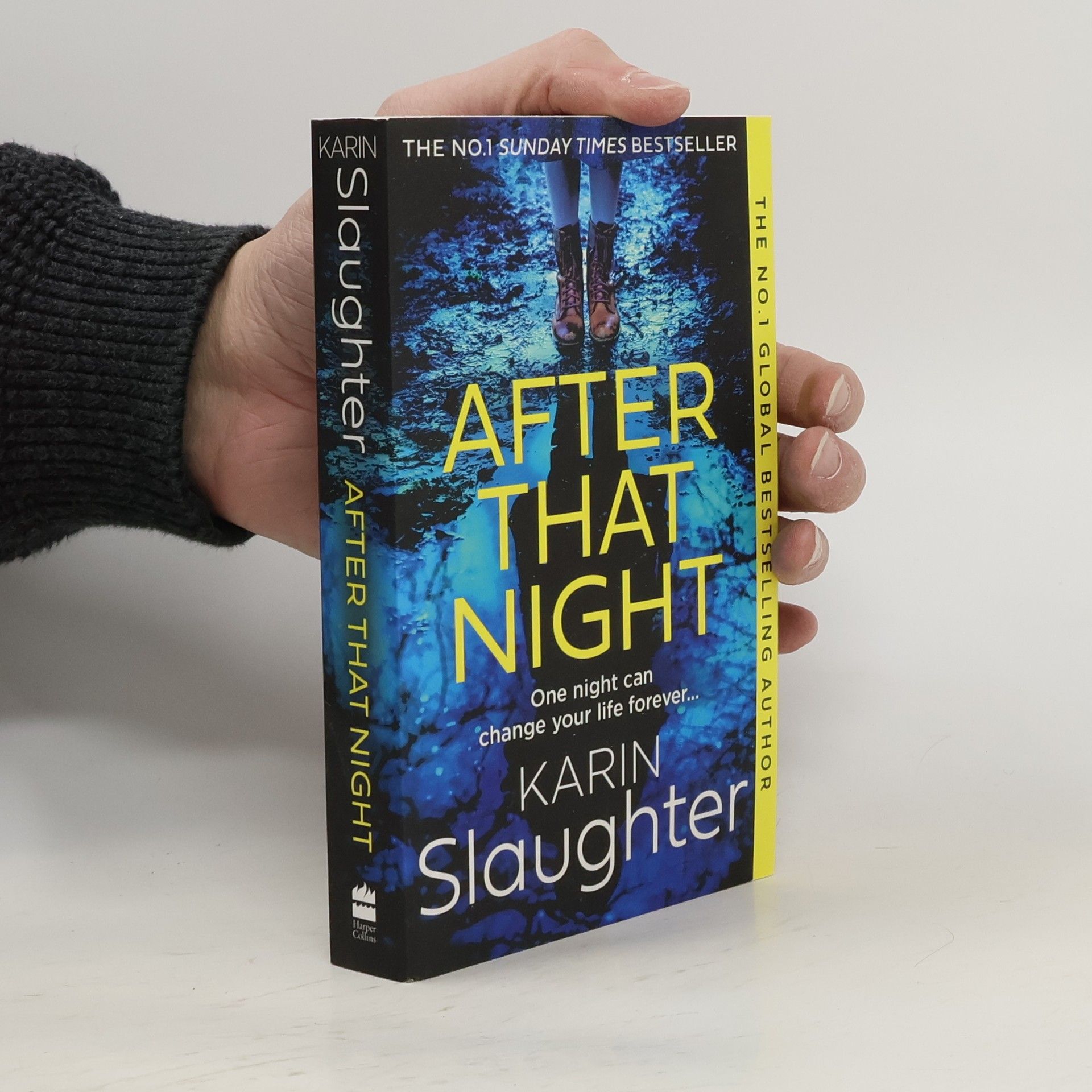 Karin Slaughter After That Night