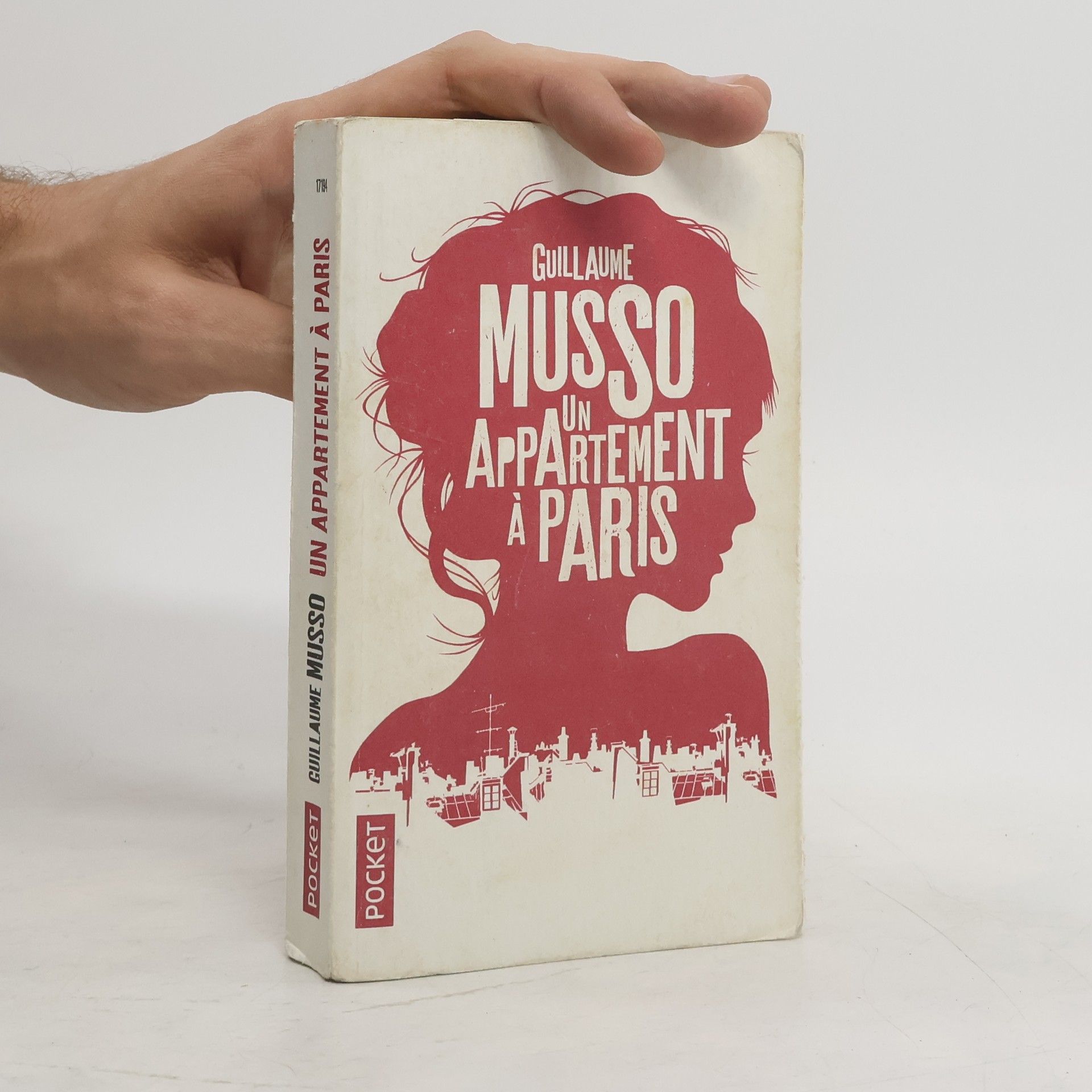 Guillaume Musso Un appartement à Paris