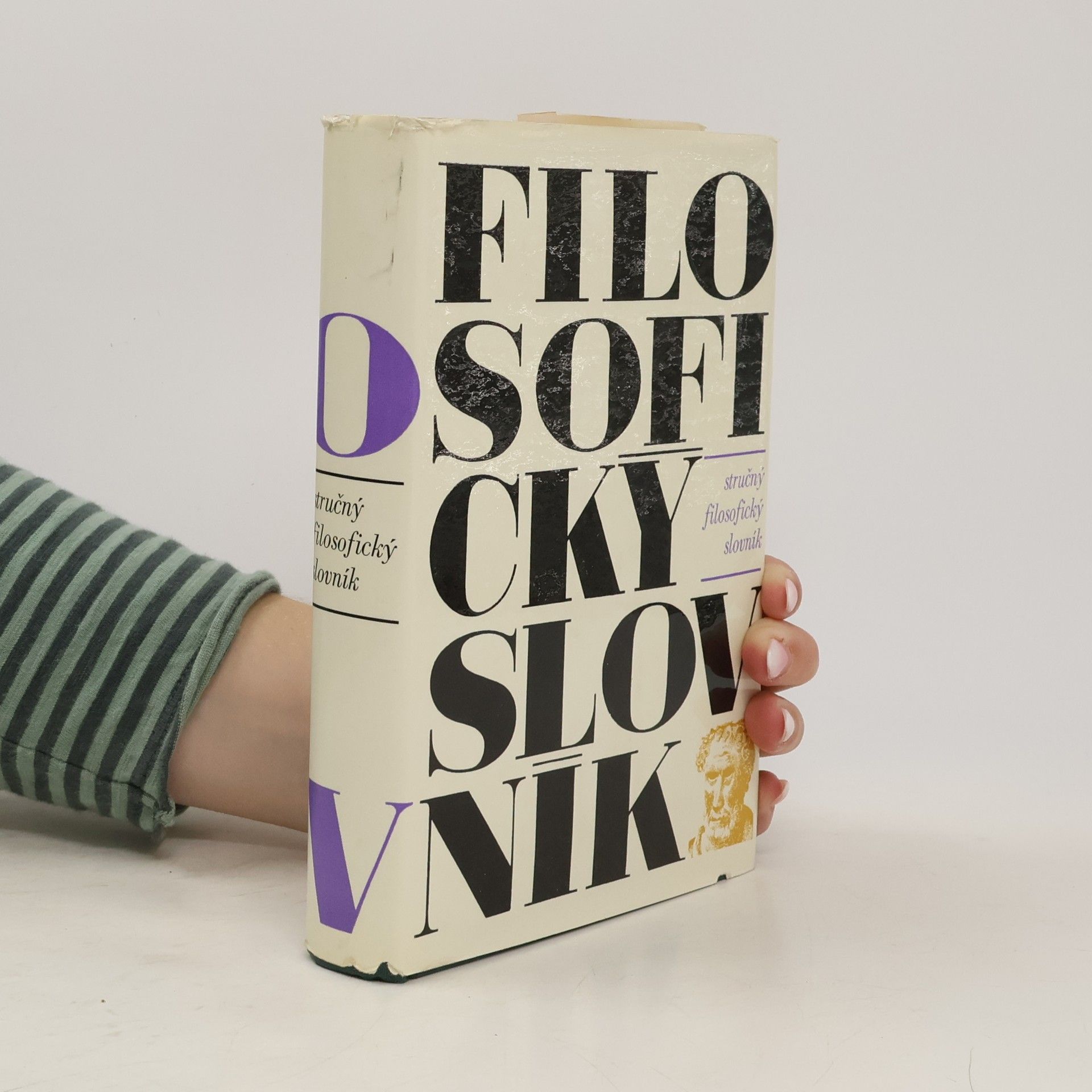 Autorenkollektiv Stručný filosofický slovník