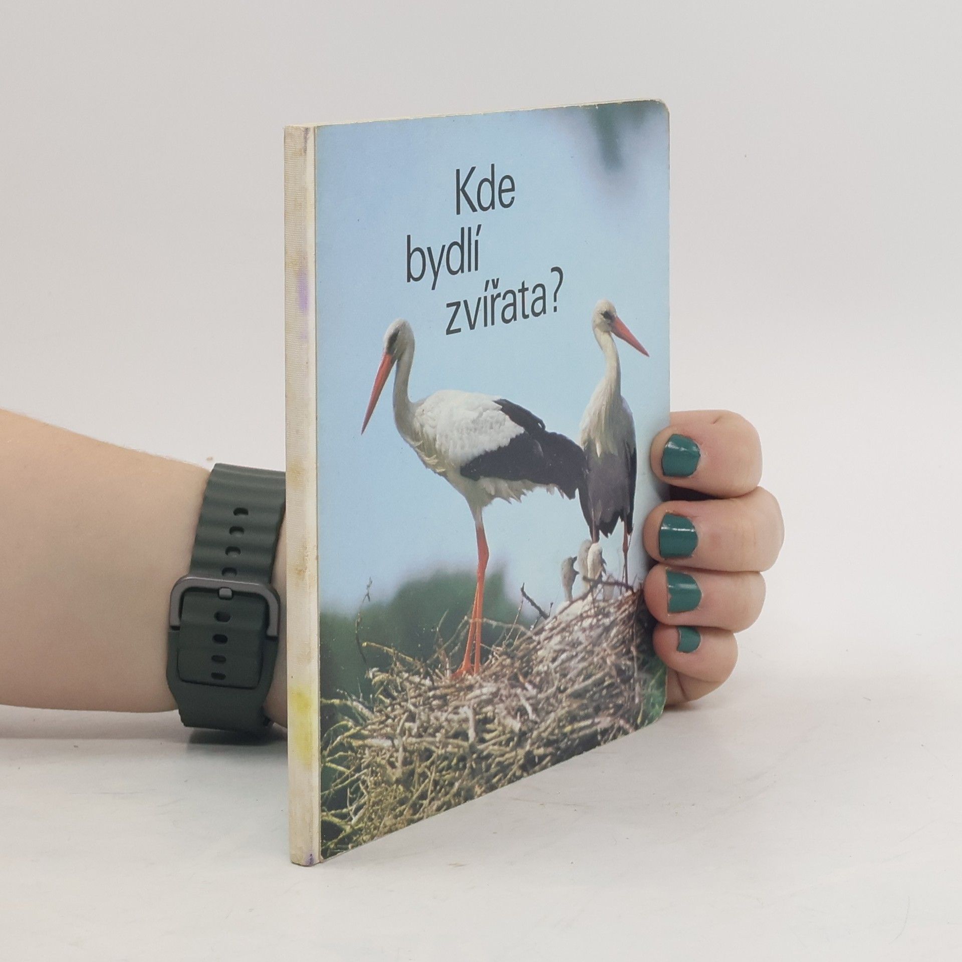 Kolektív autorov Kde bydlí zvířata?