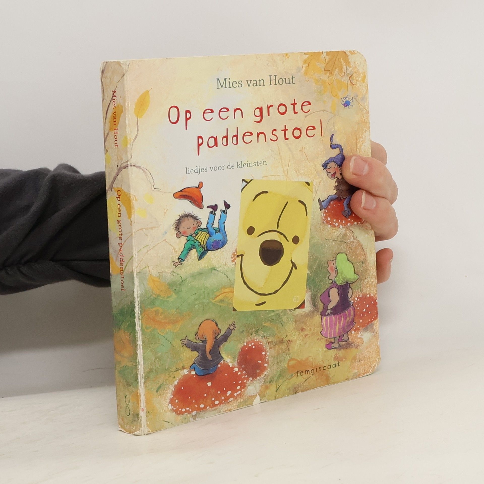 Op een grote paddenstoel