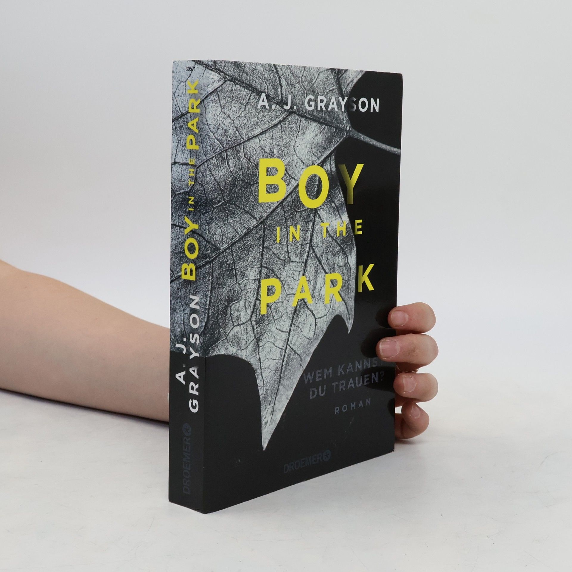 A. J. Grayson Boy in the park