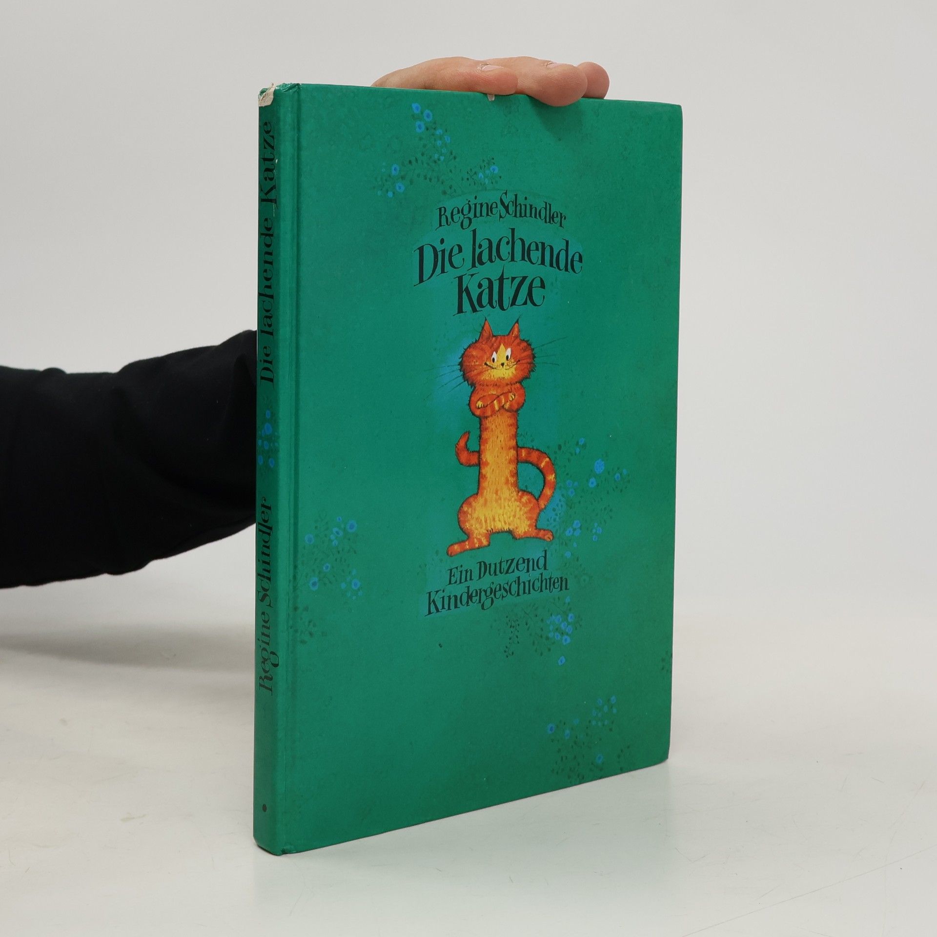 Regine Schindler Die lachende Katze