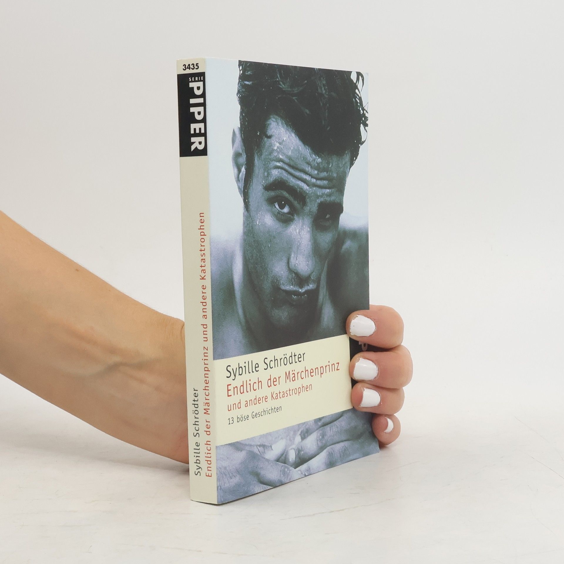 Sybille Schrödter Endlich der Märchenprinz und andere Katastrophen