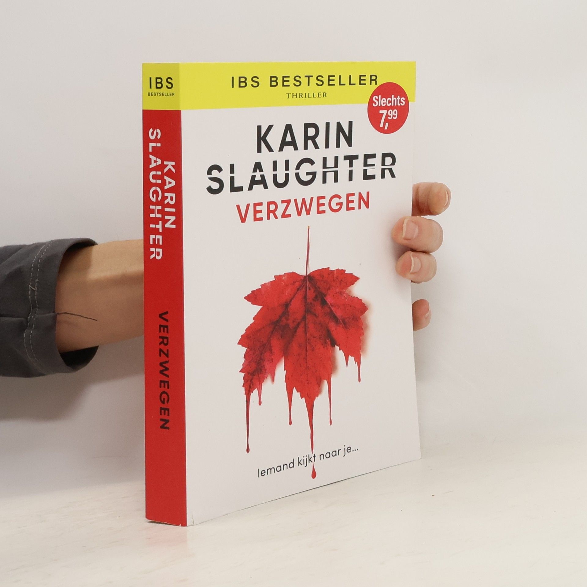 Karin Slaughter Verzwegen