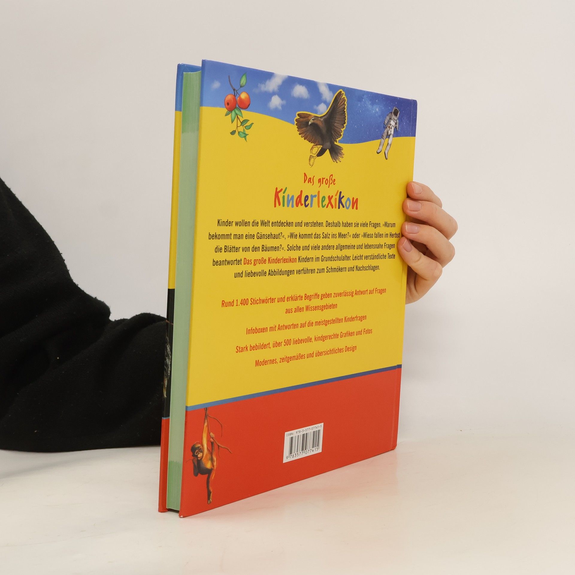 Autorenkollektiv Das grosse Kinderlexikon