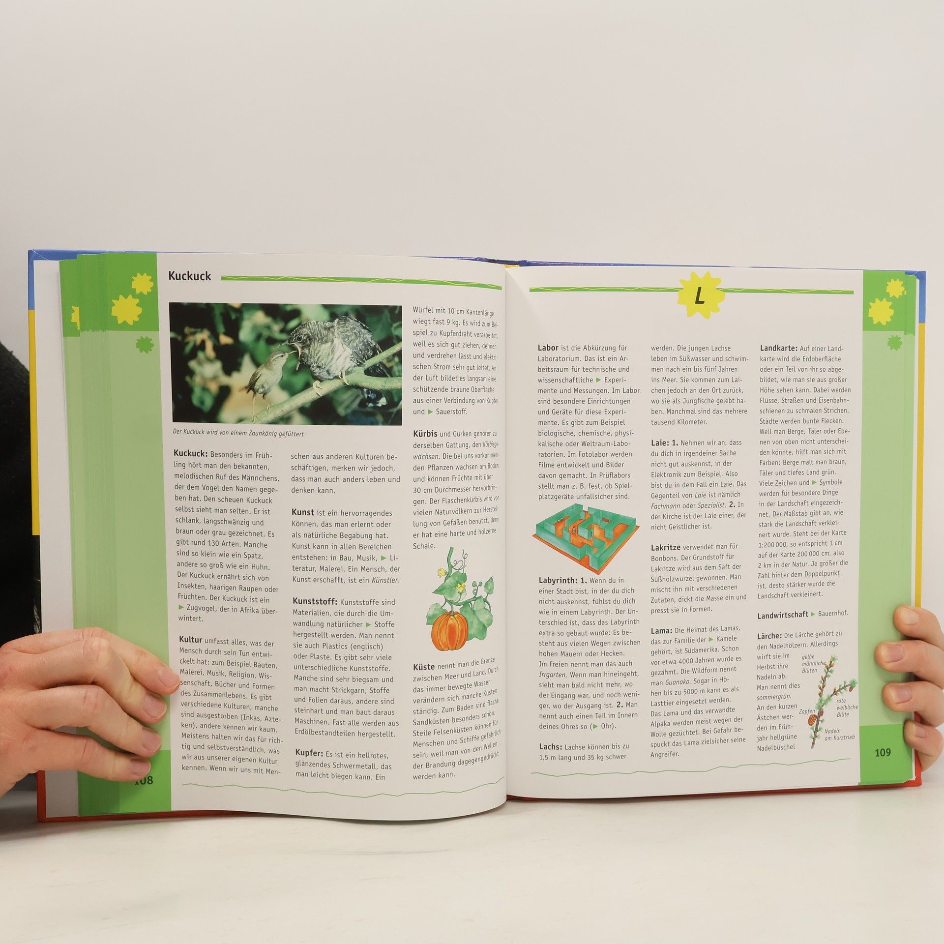 Autorenkollektiv Das grosse Kinderlexikon