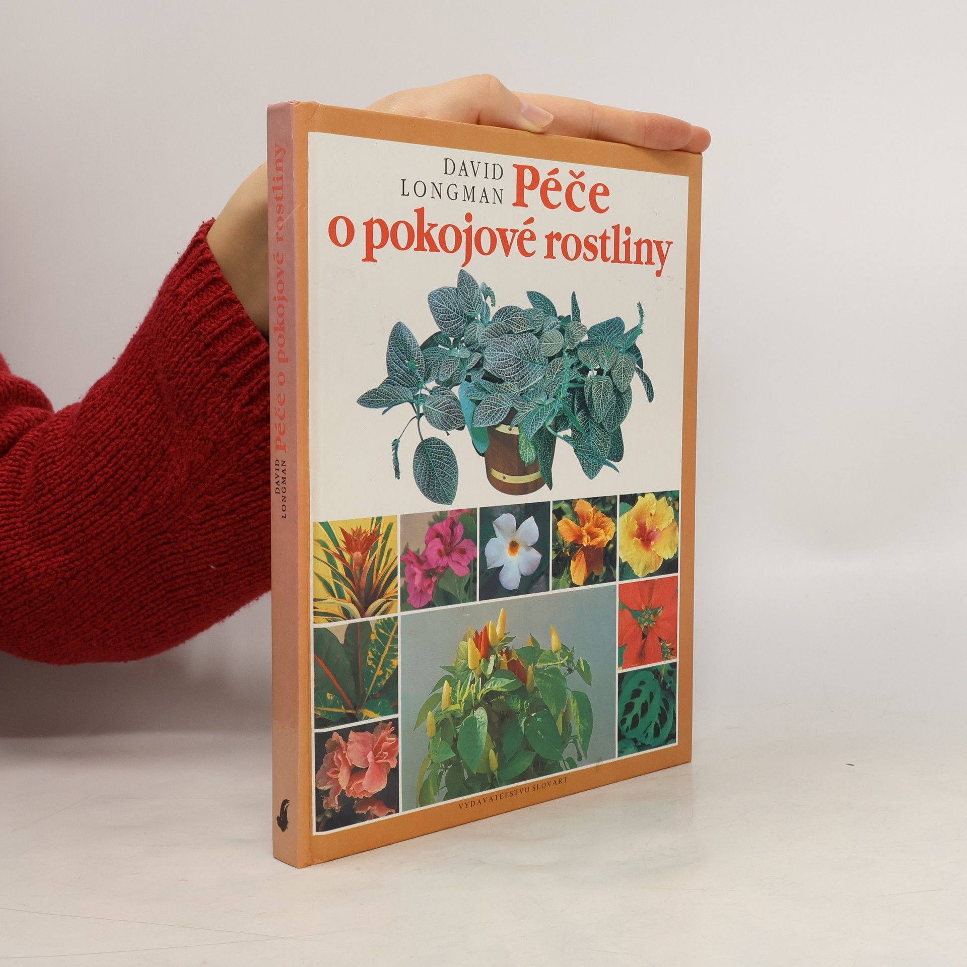 Péče o pokojové rostliny