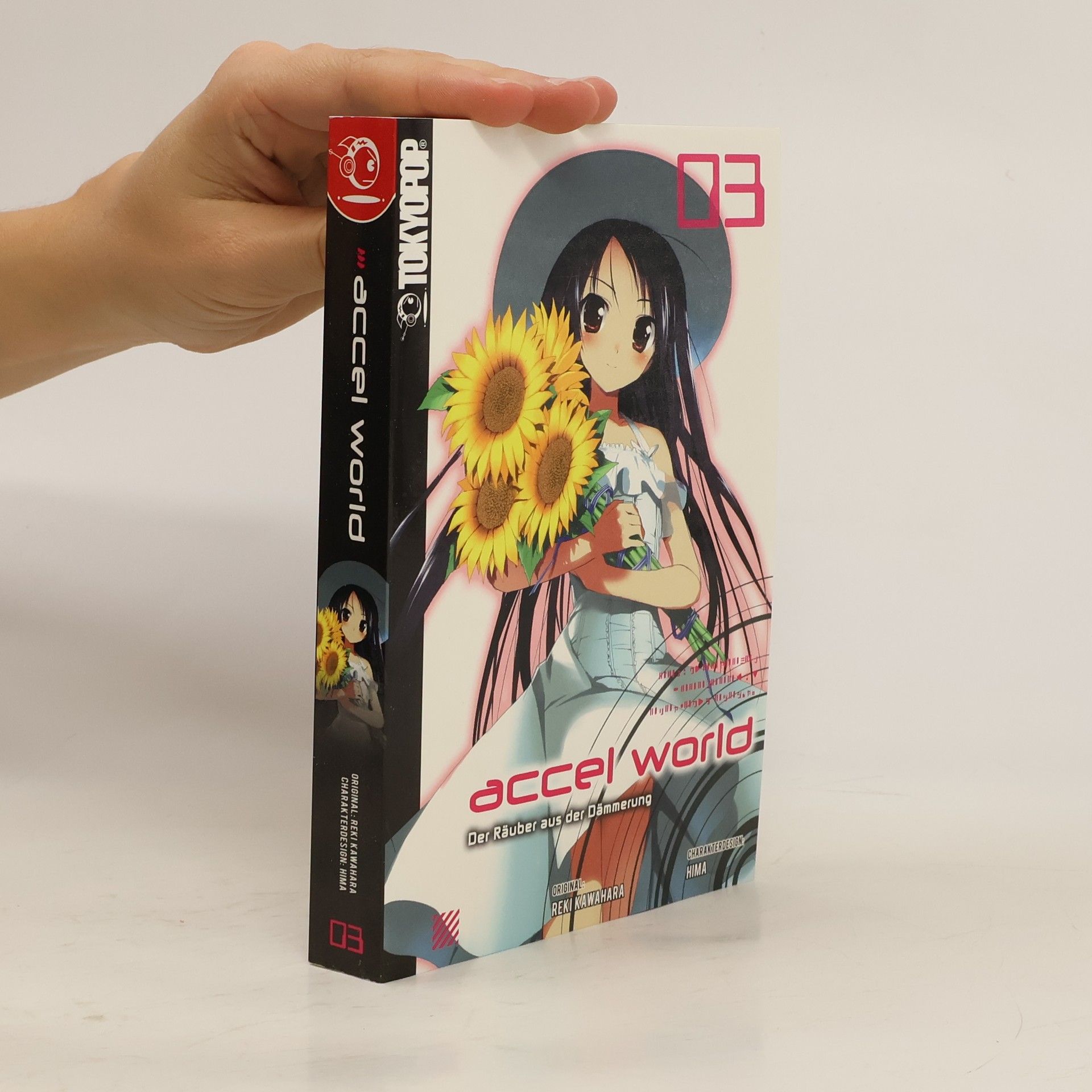 Reki Kawahara Der Räuber aus der Dämmerung