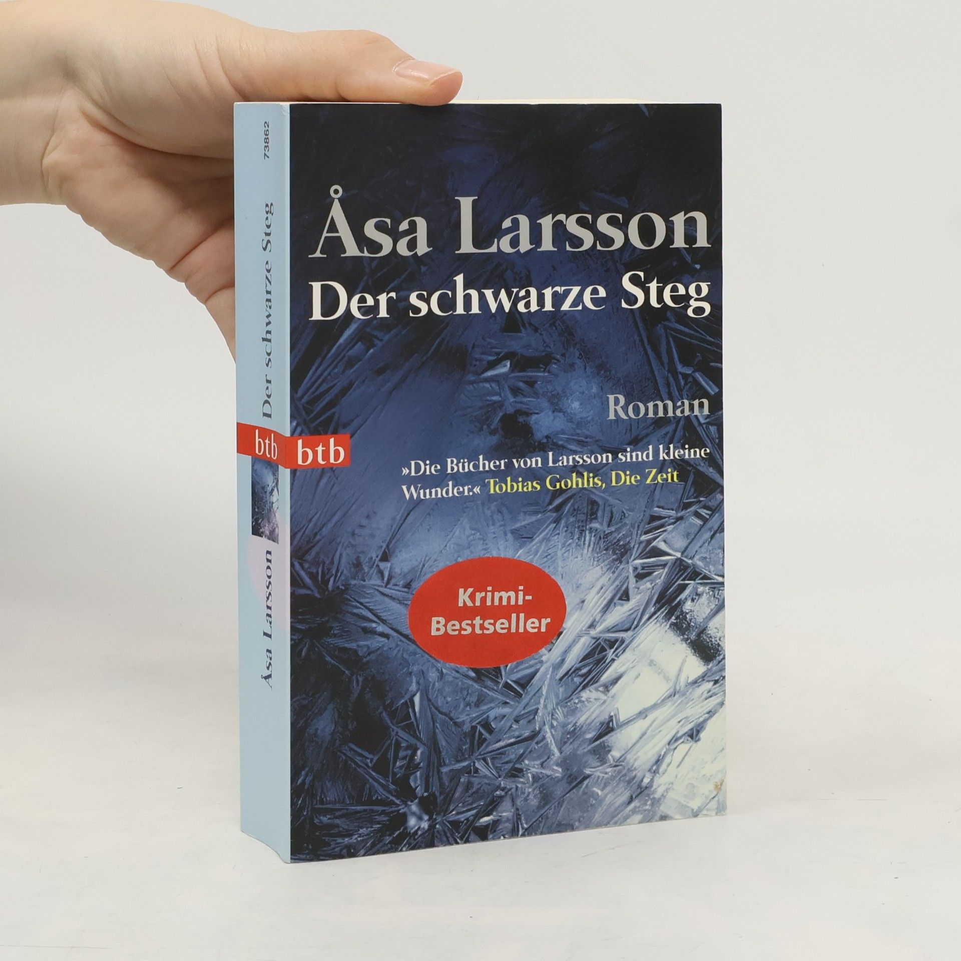 Åsa Larsson Der schwarze Steg