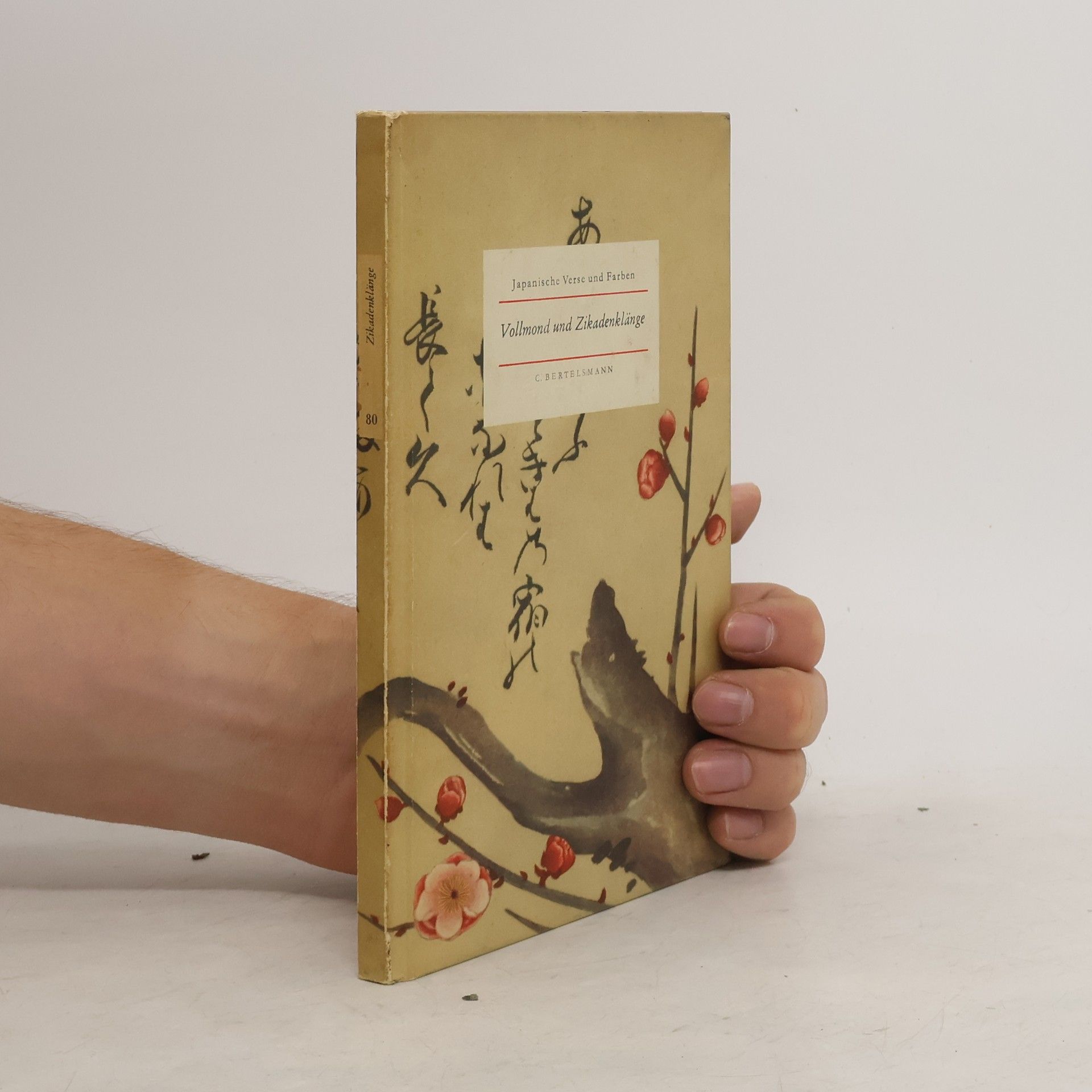 Autorenkollektiv Vollmond und Zikadenklänge