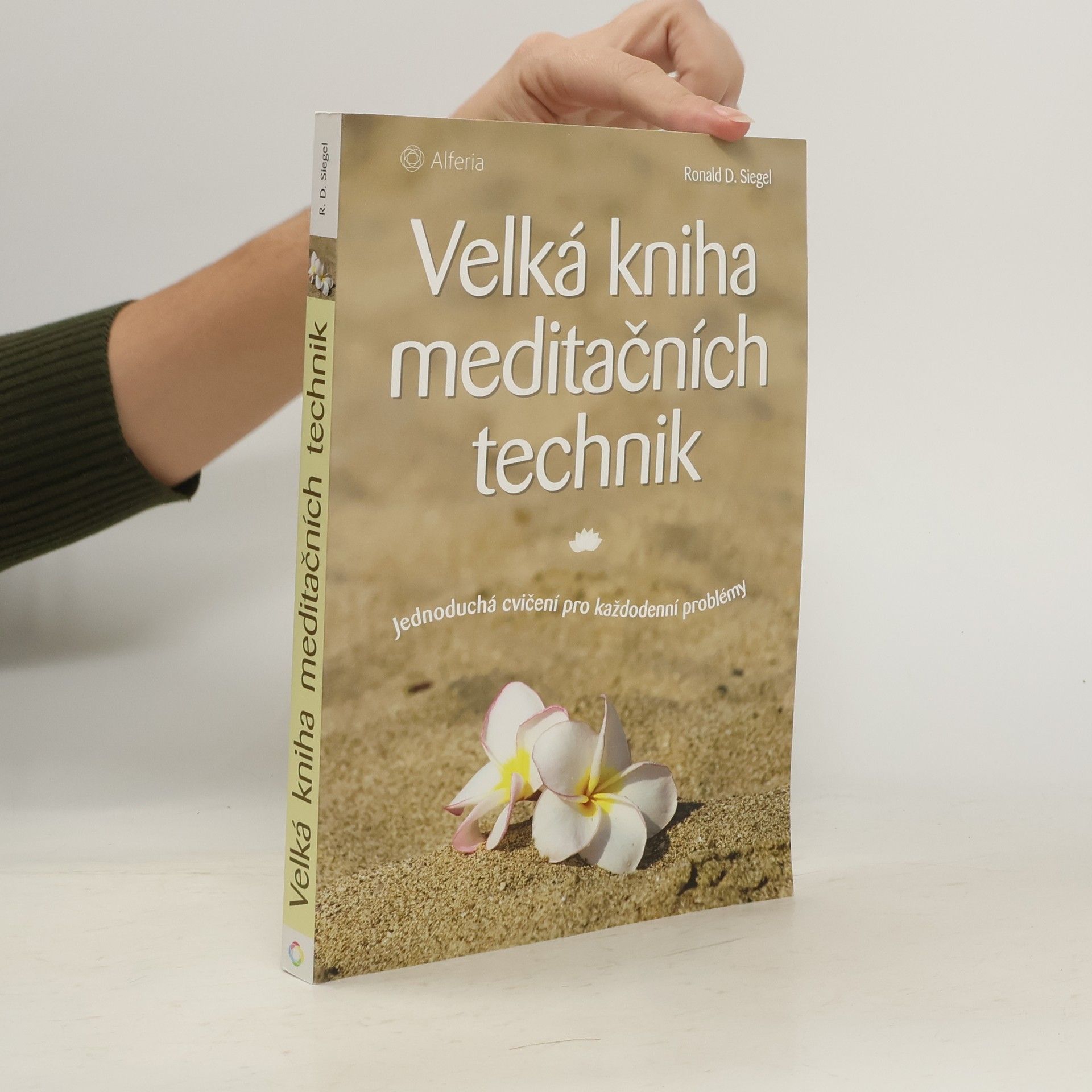 Velká kniha meditačních technik : Jednoduchá cvičení pro každodenní problémy