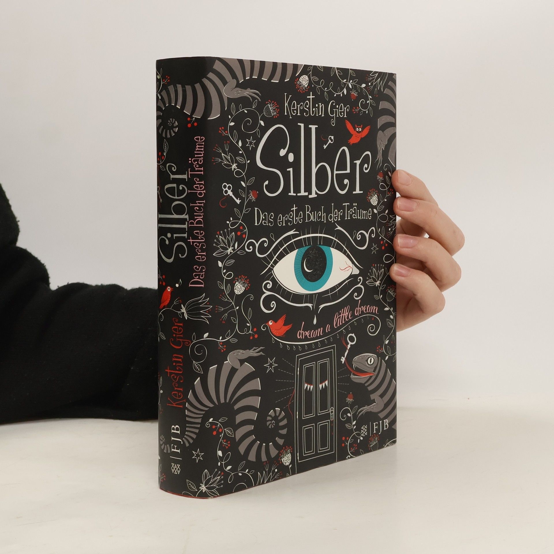 Kerstin Gier Silber. Das erste Buch der Träume