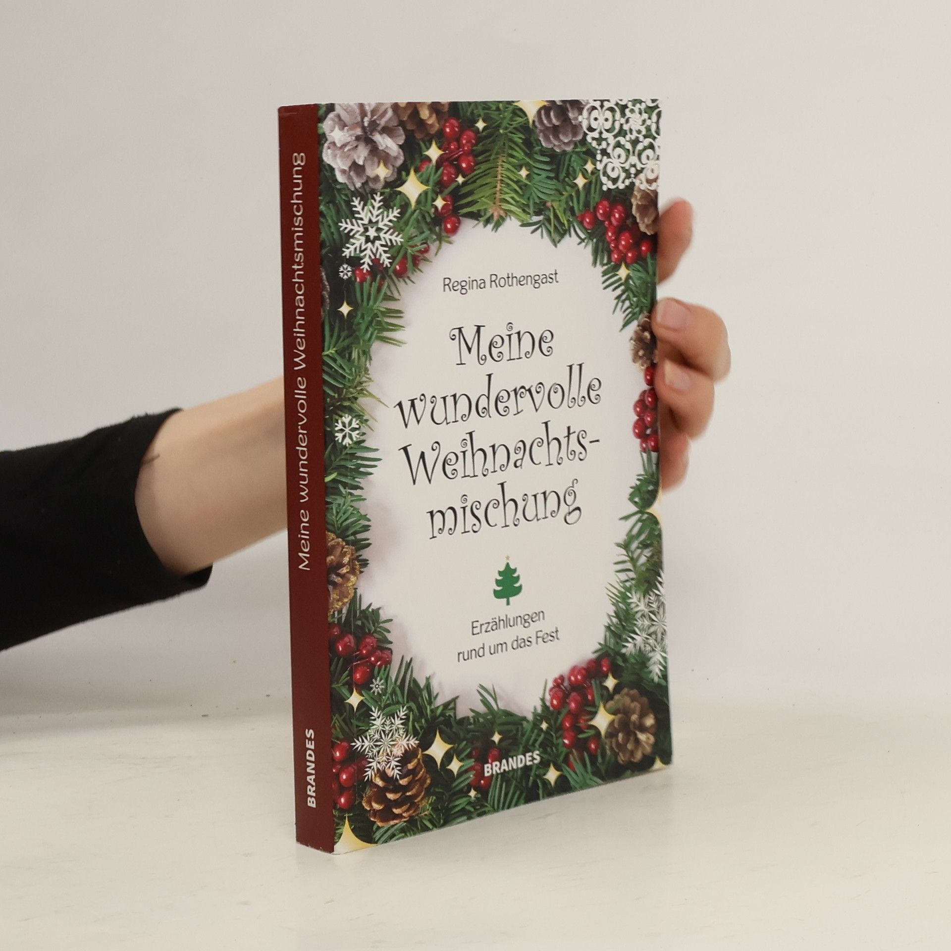 Regina Rothengast Meine wundervolle Weihnachtsmischung