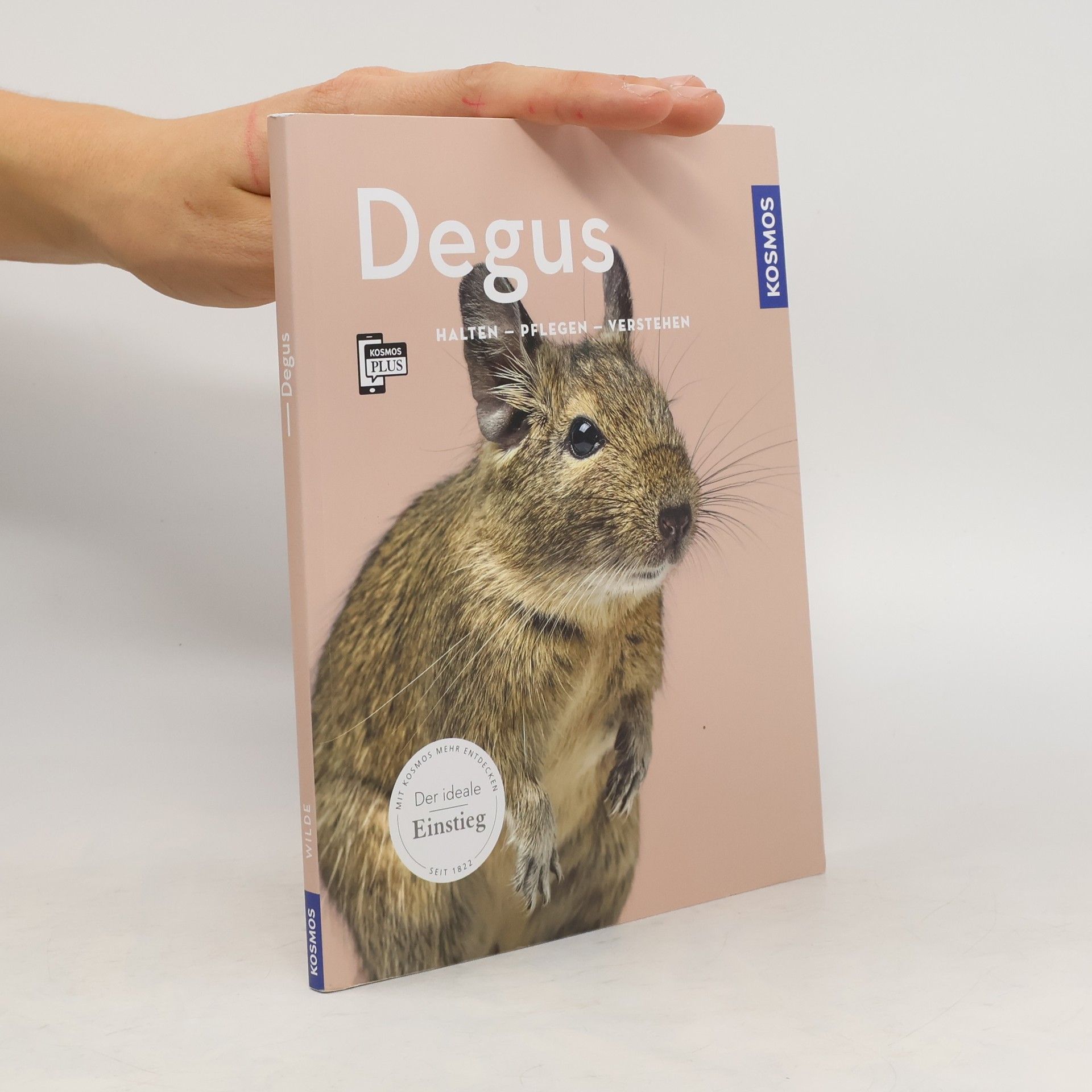 Autorenkollektiv Degus: Halten, pflegen, verstehen