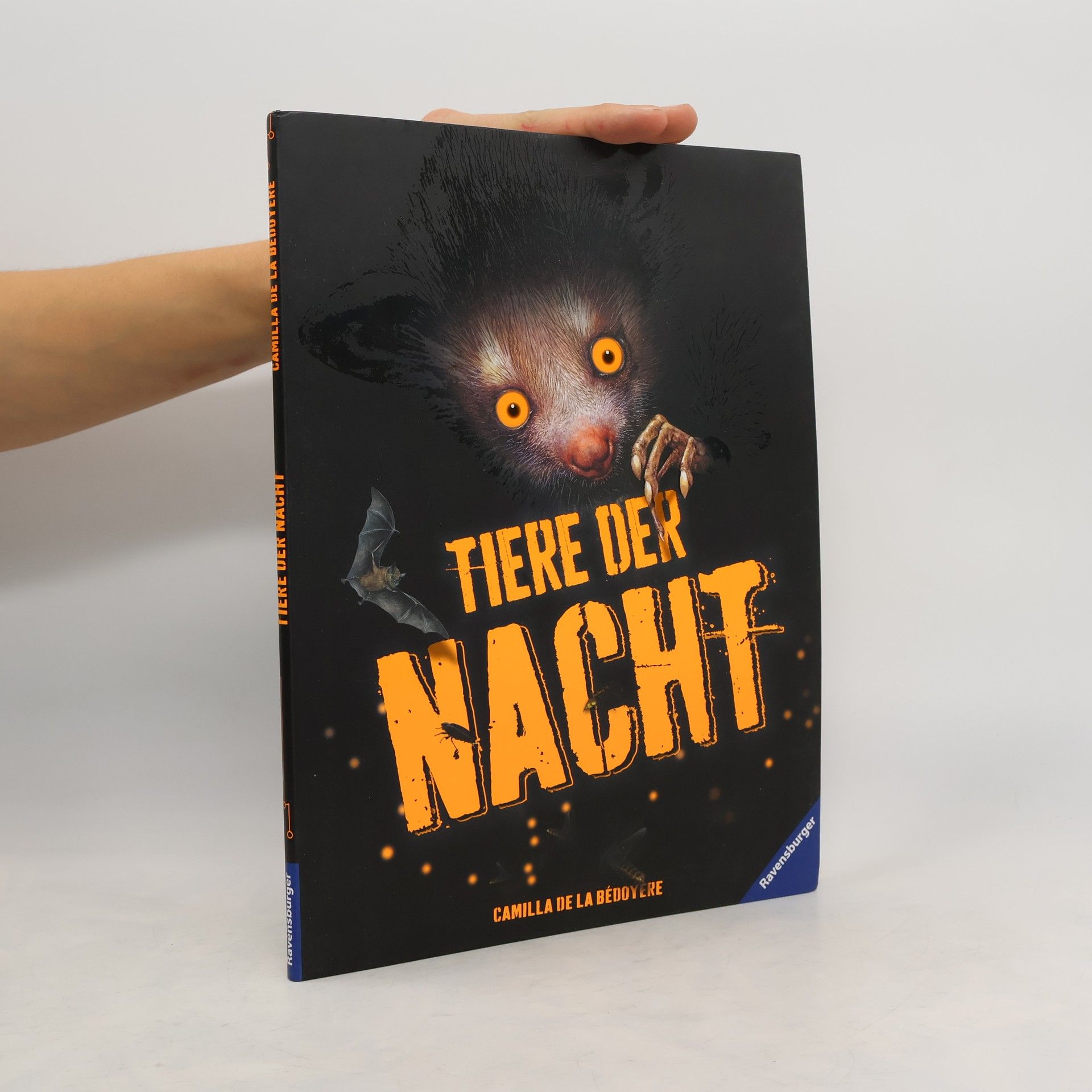 Camilla De la Bédoyère Tiere der Nacht