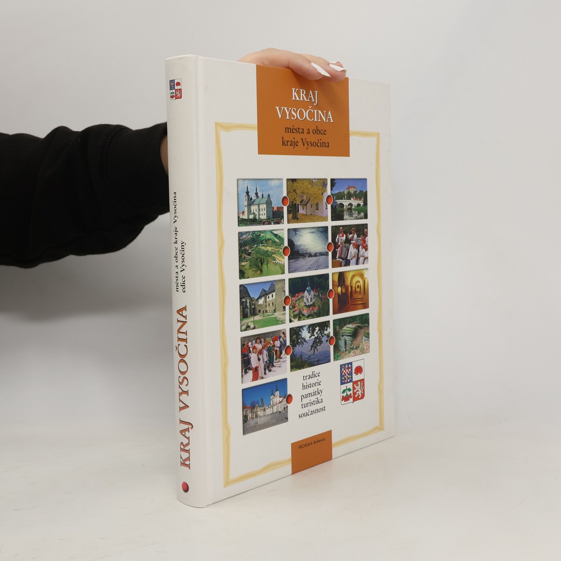 Kolektív autorov Kraj Vysočina: města a obce kraje Vysočina