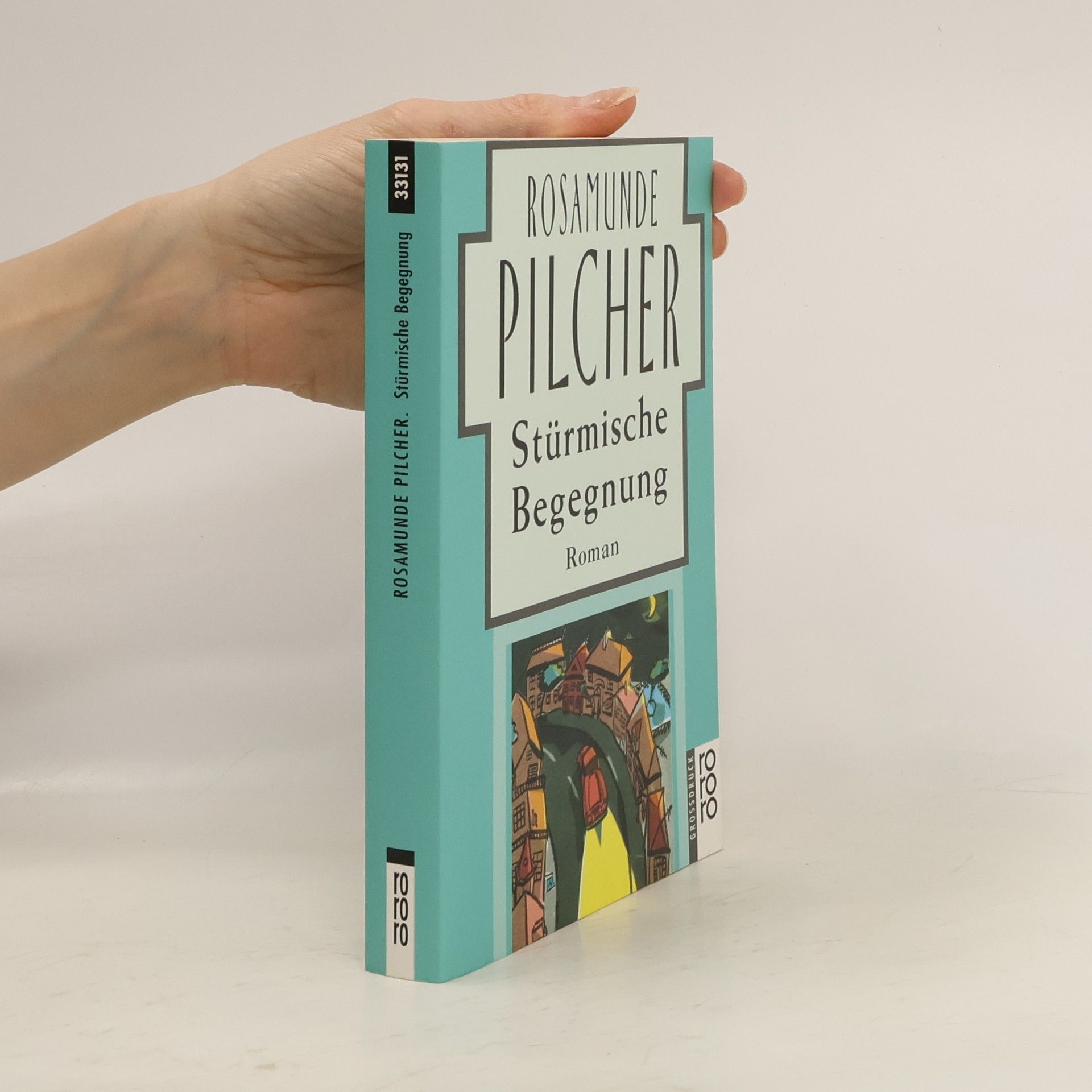 Rosamunde Pilcher Stürmische Begegnung, Großdruck