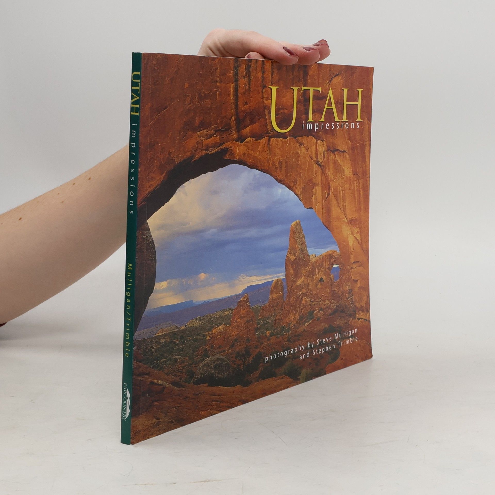 Steve Mulligan Utah Impressions