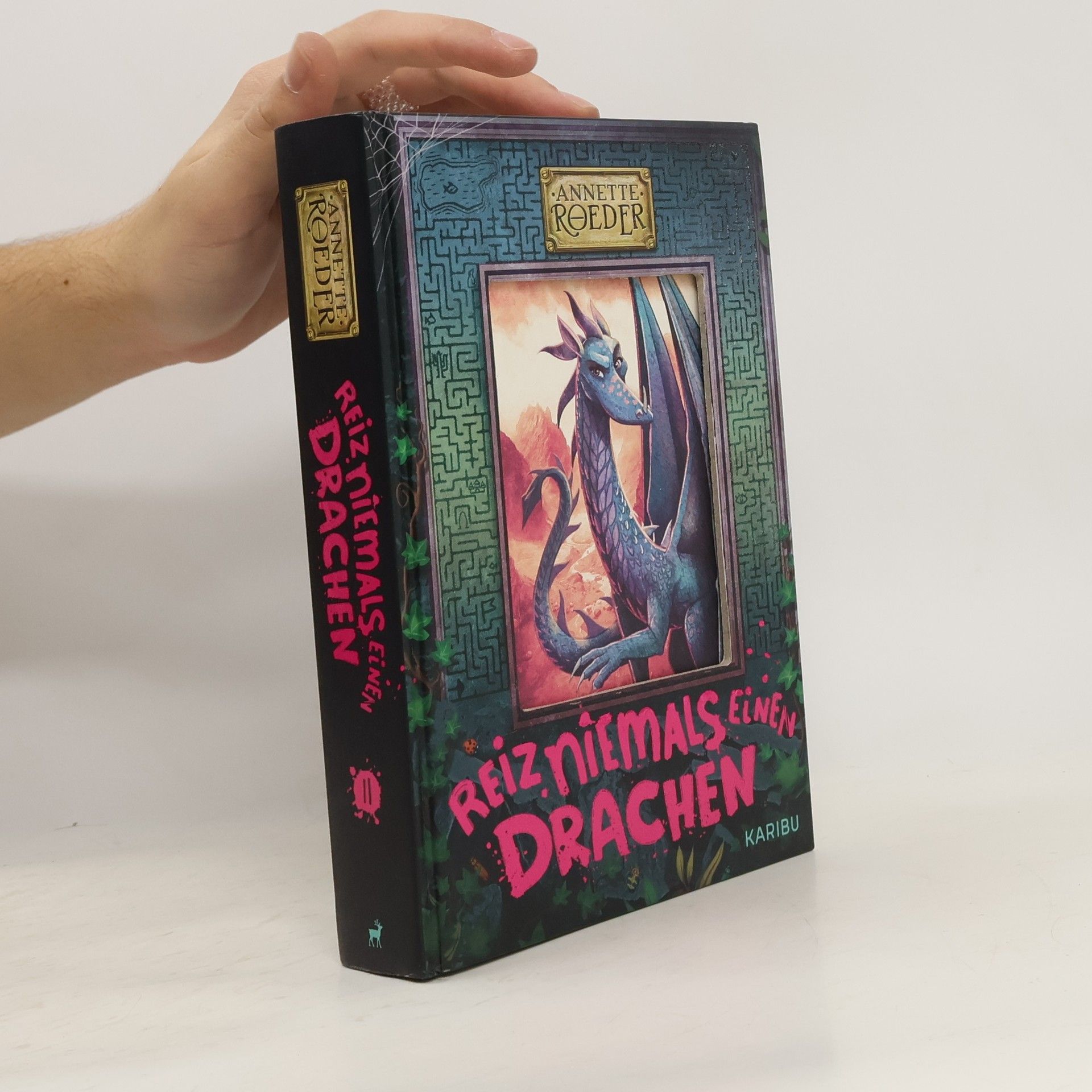 Reiz niemals einen Drachen