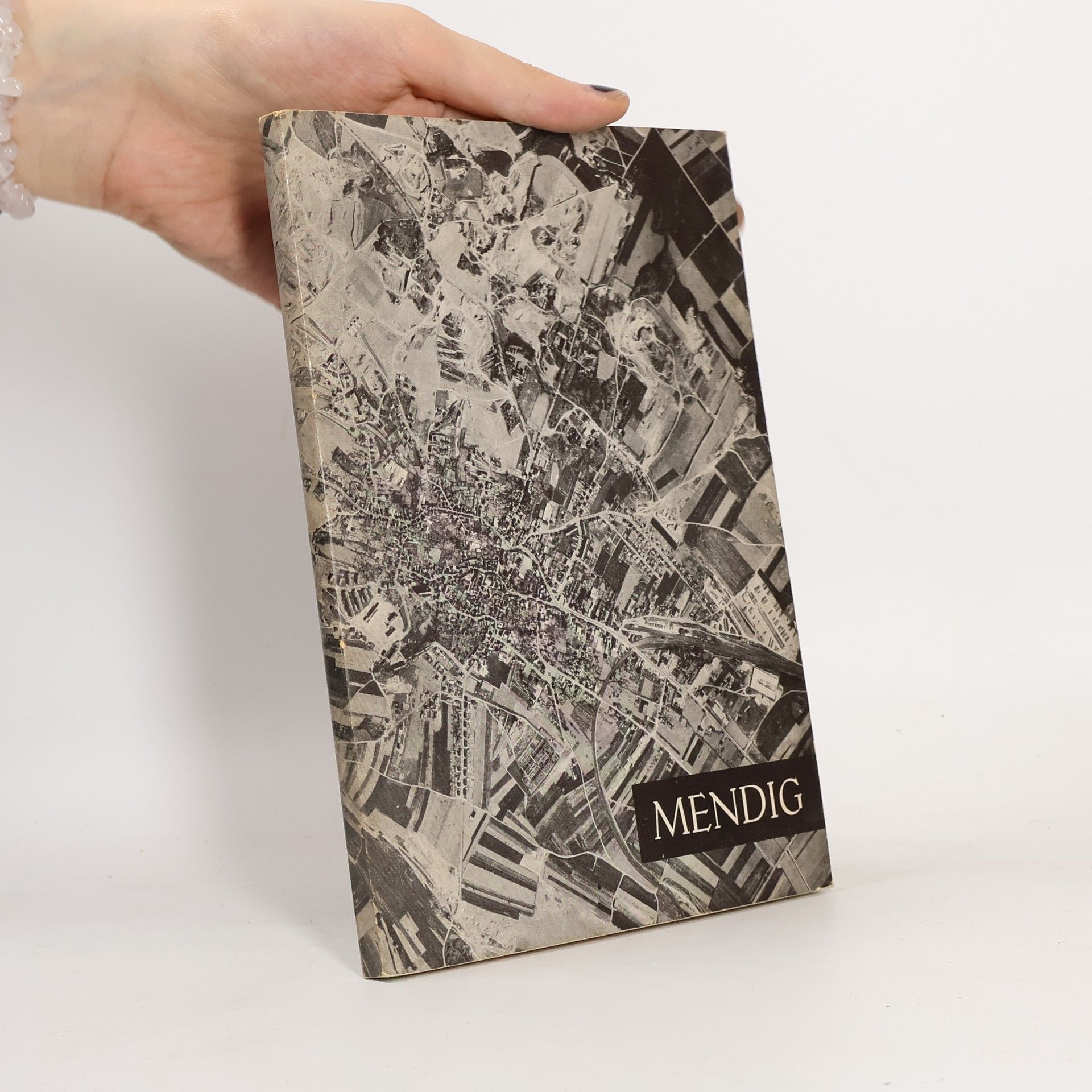 Collectif d'auteurs Mendig